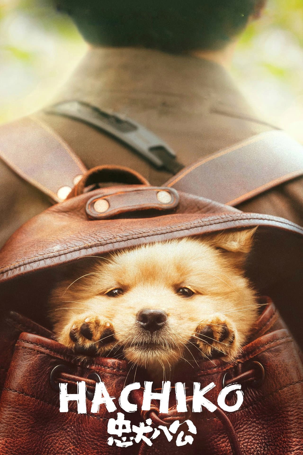 Hachiko preview 2