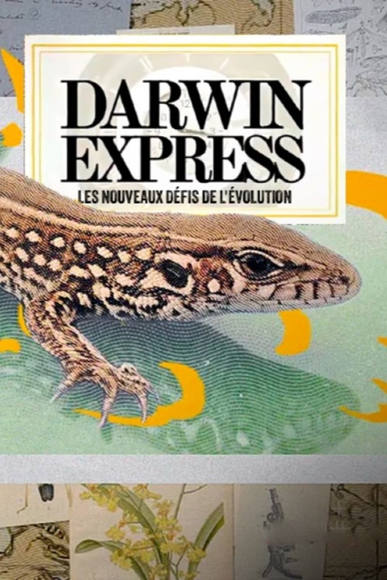 Darwin express - Les nouveaux défis de l'évolution preview 2