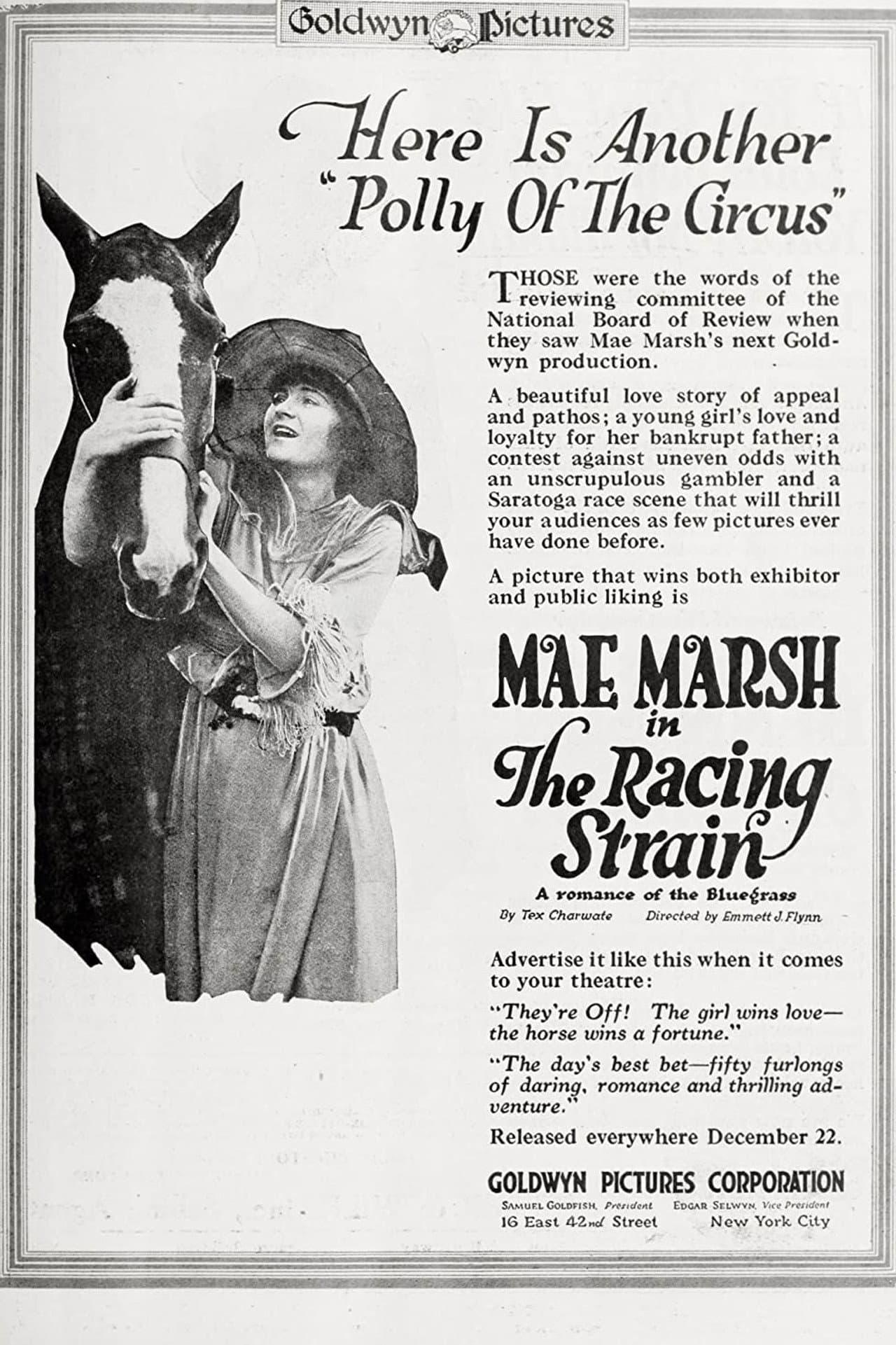 The Racing Strain preview 2