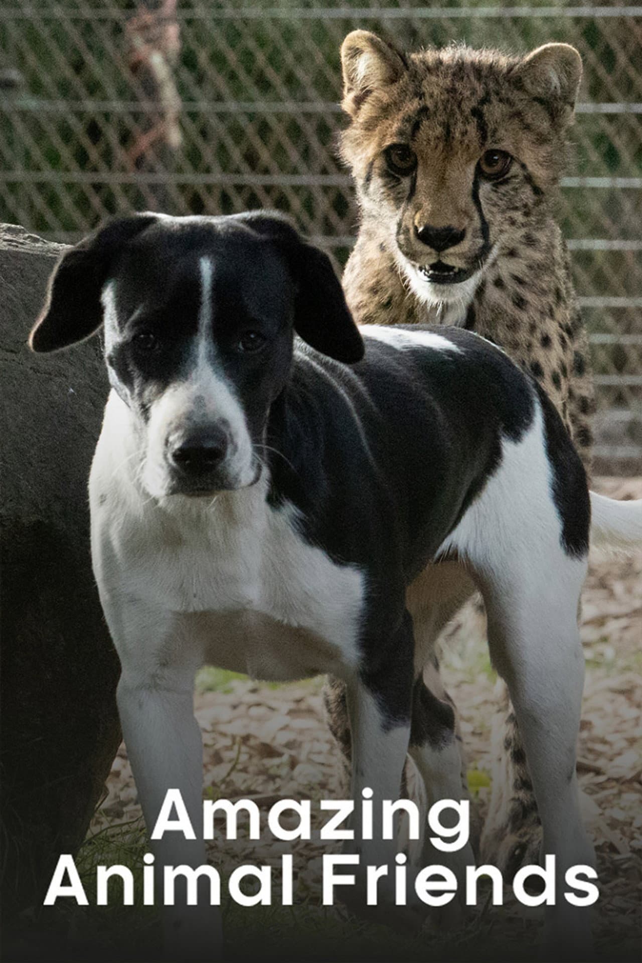 Amazing Animal Friends preview 2