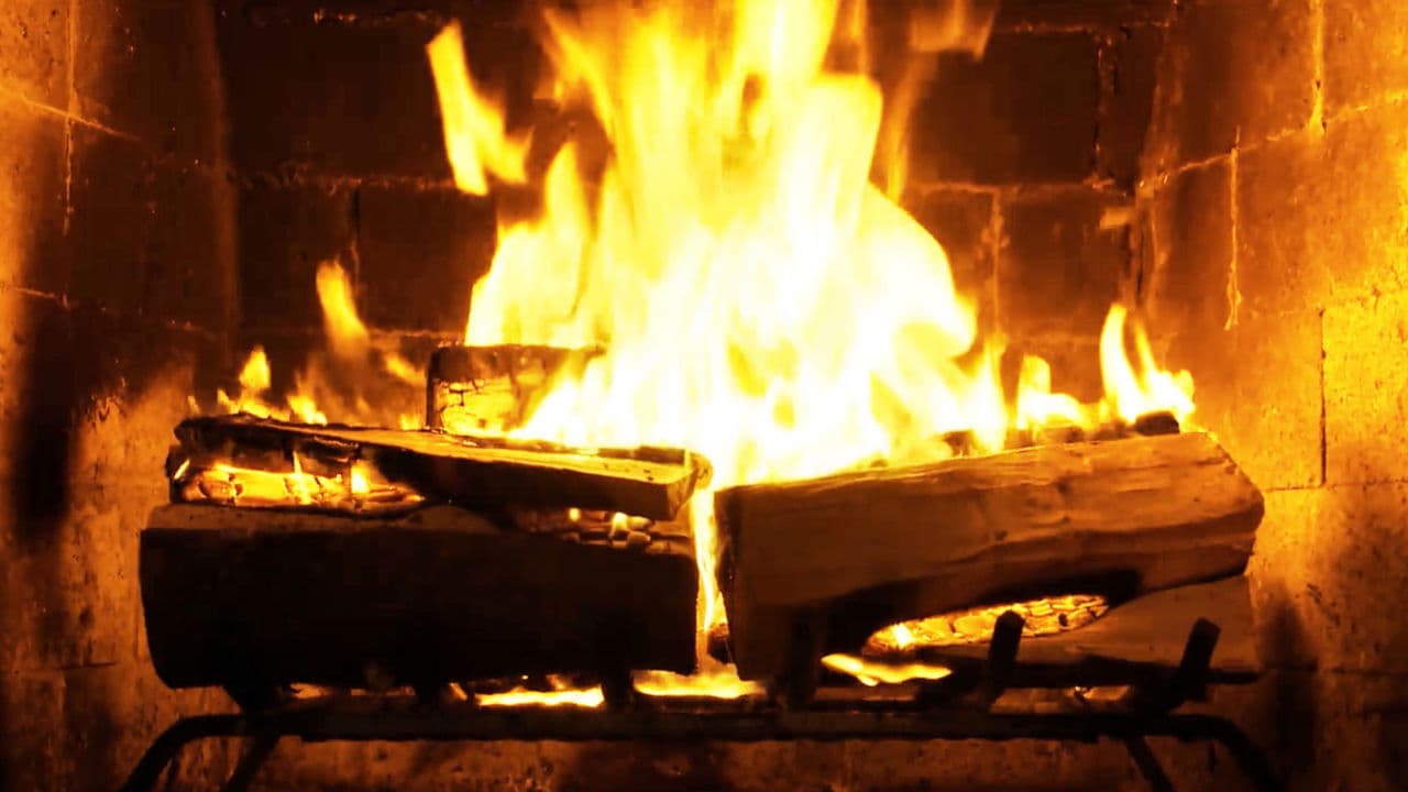 Fireplace for Your Home Crackling Birchwood