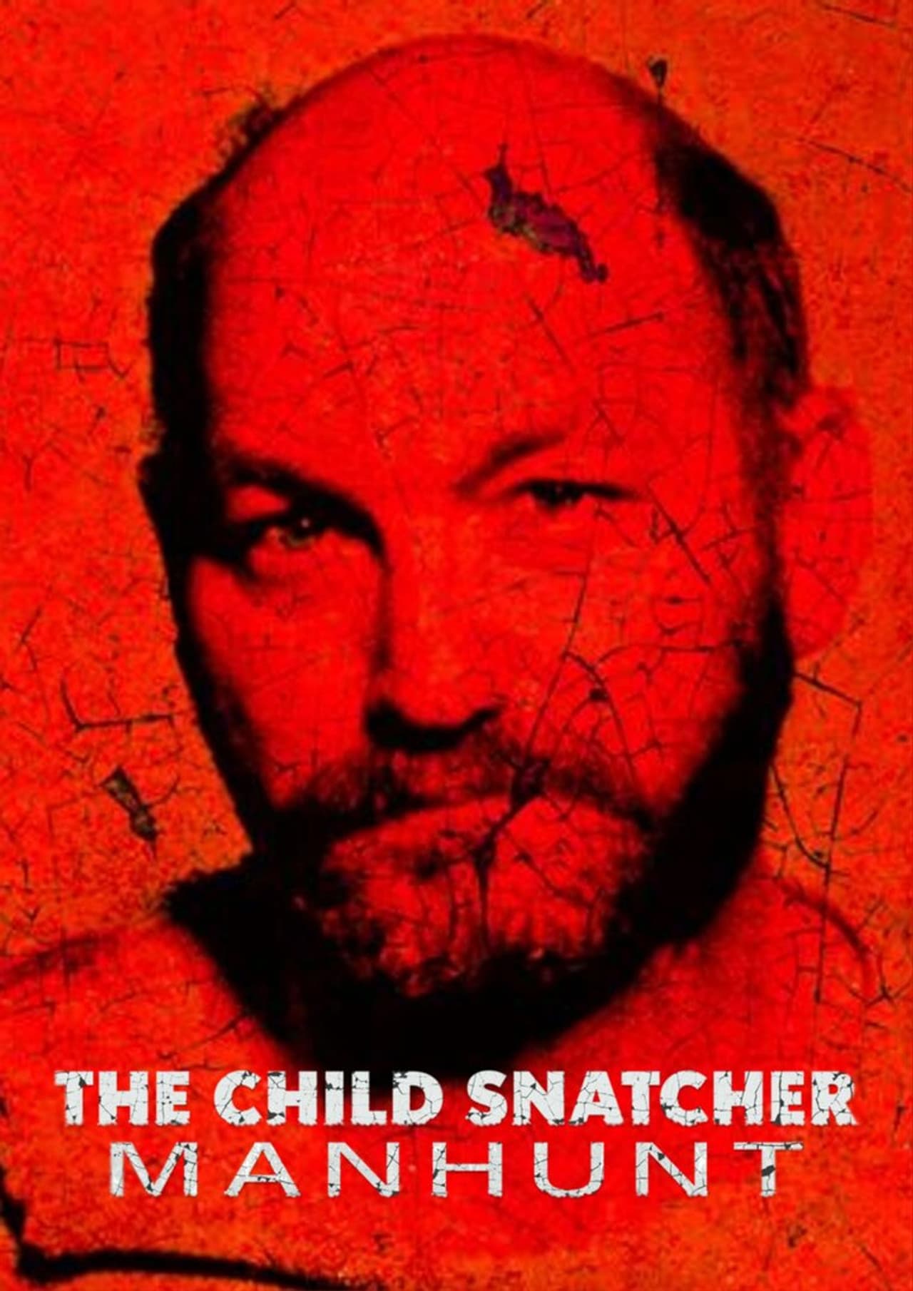 The Child Snatcher: Manhunt preview 2