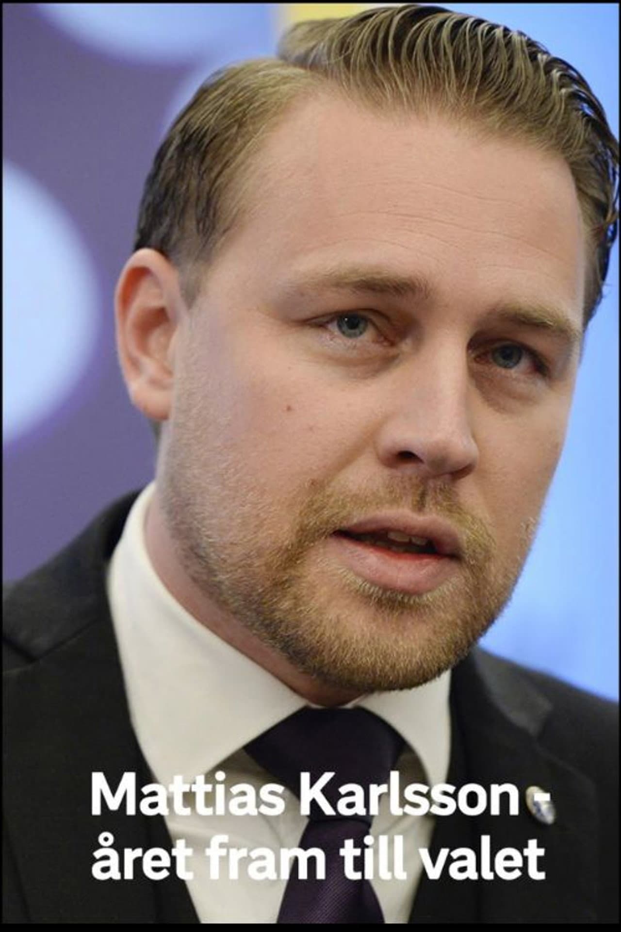 Mattias Karlsson: Året fram till valet preview 1
