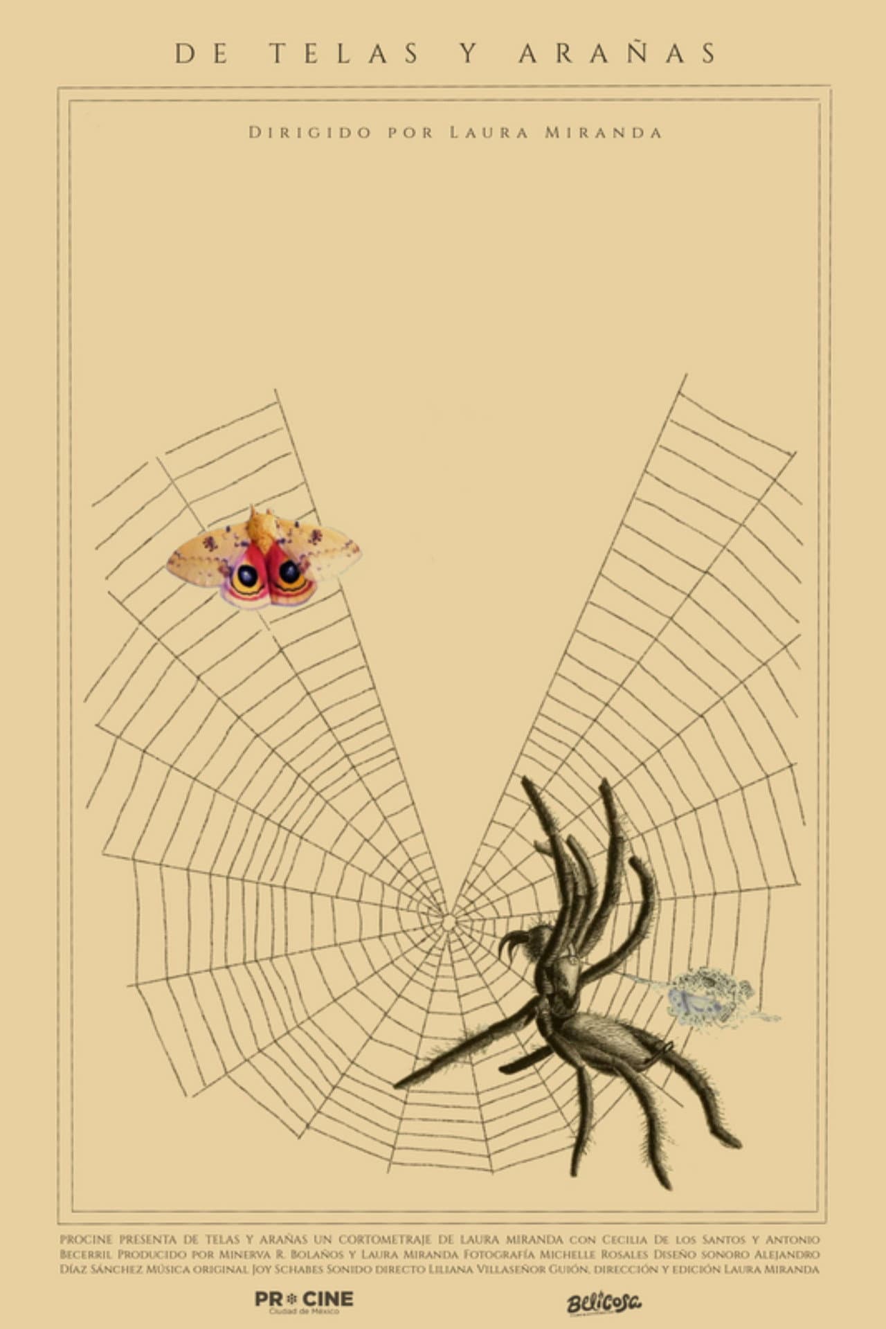 Of Webs and Spiders preview 1