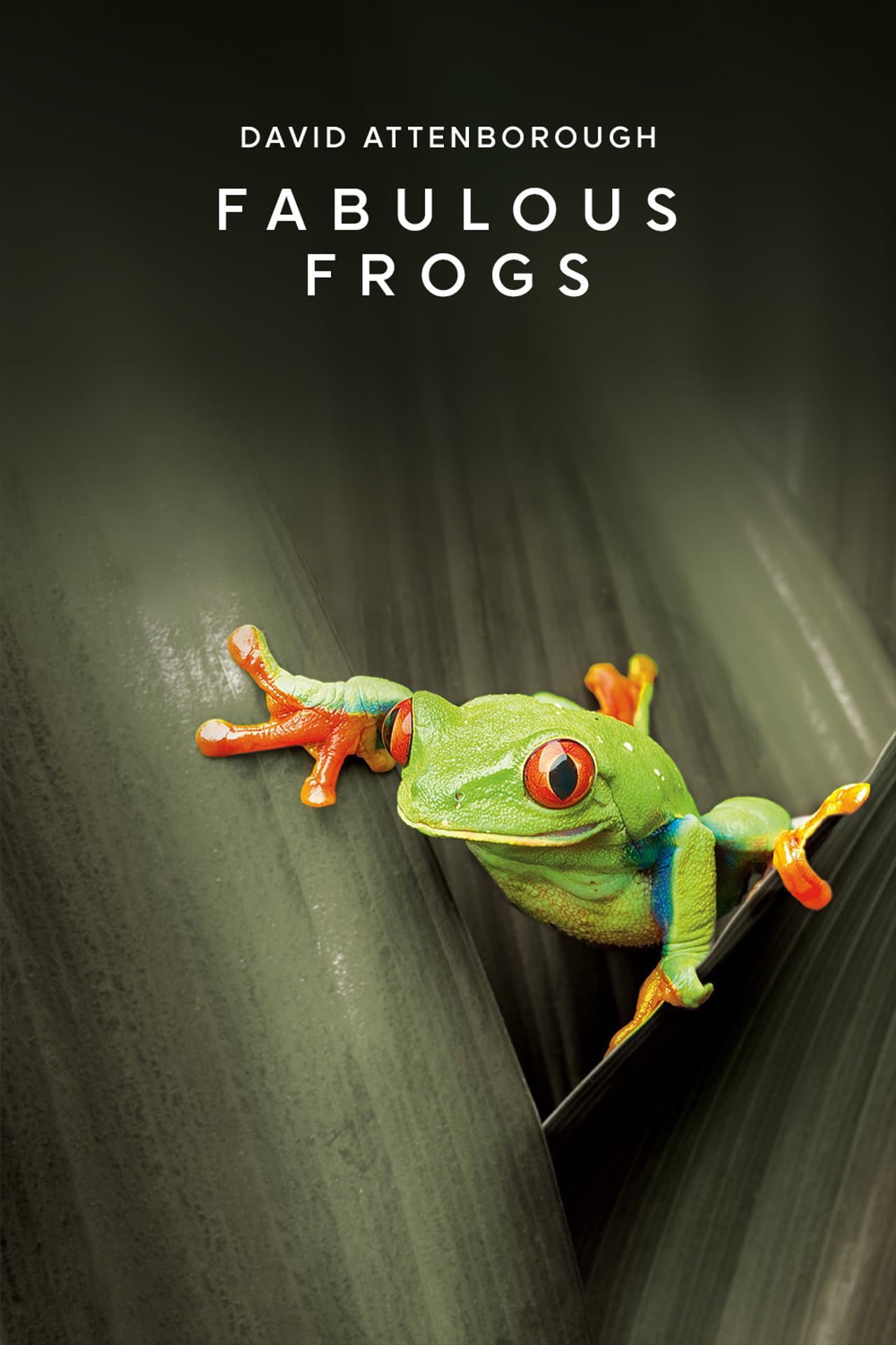 Fabulous Frogs preview 2