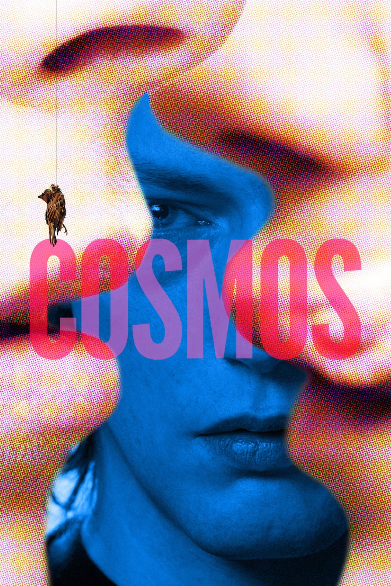 Cosmos preview 2