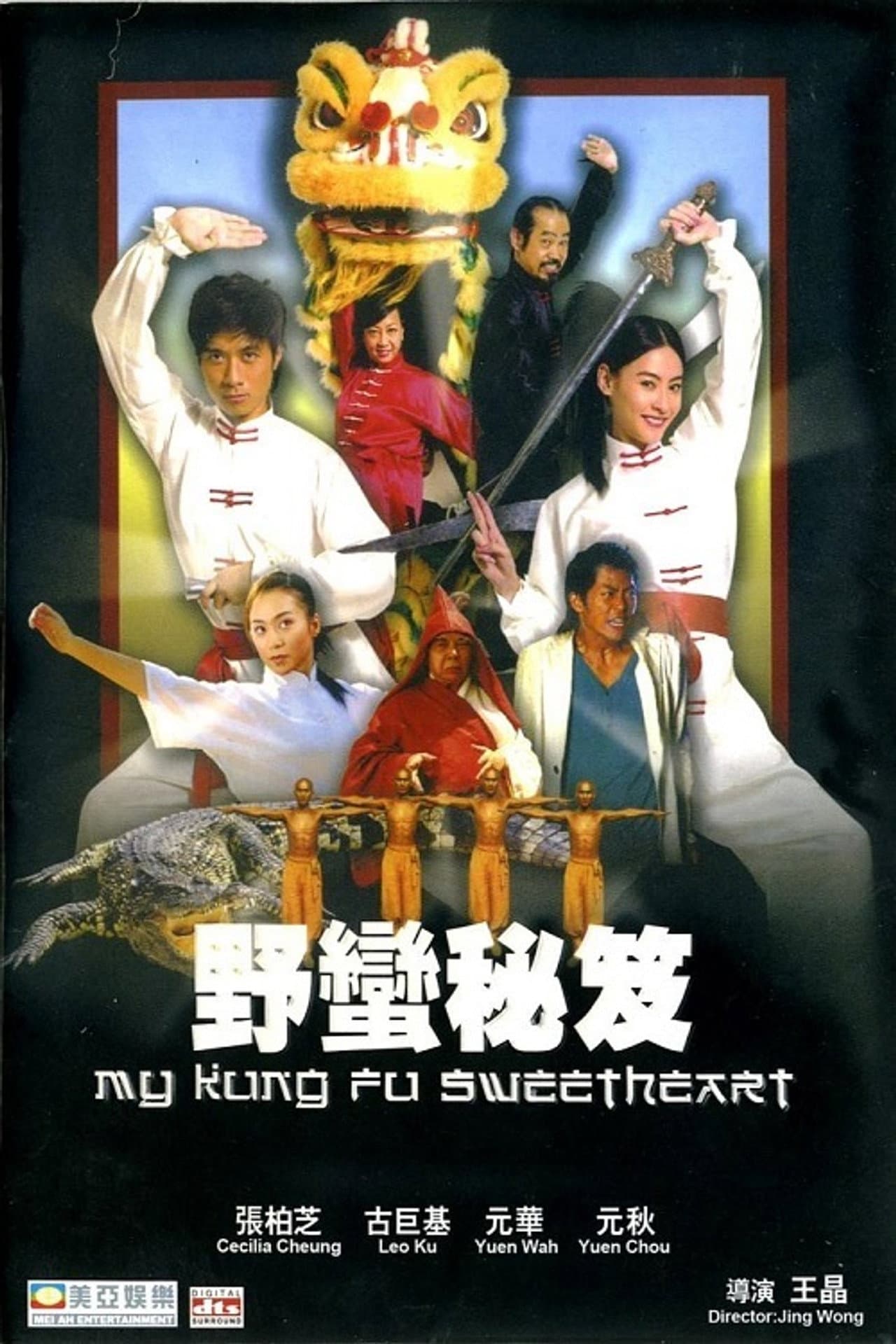 My Kung Fu Sweetheart preview 2