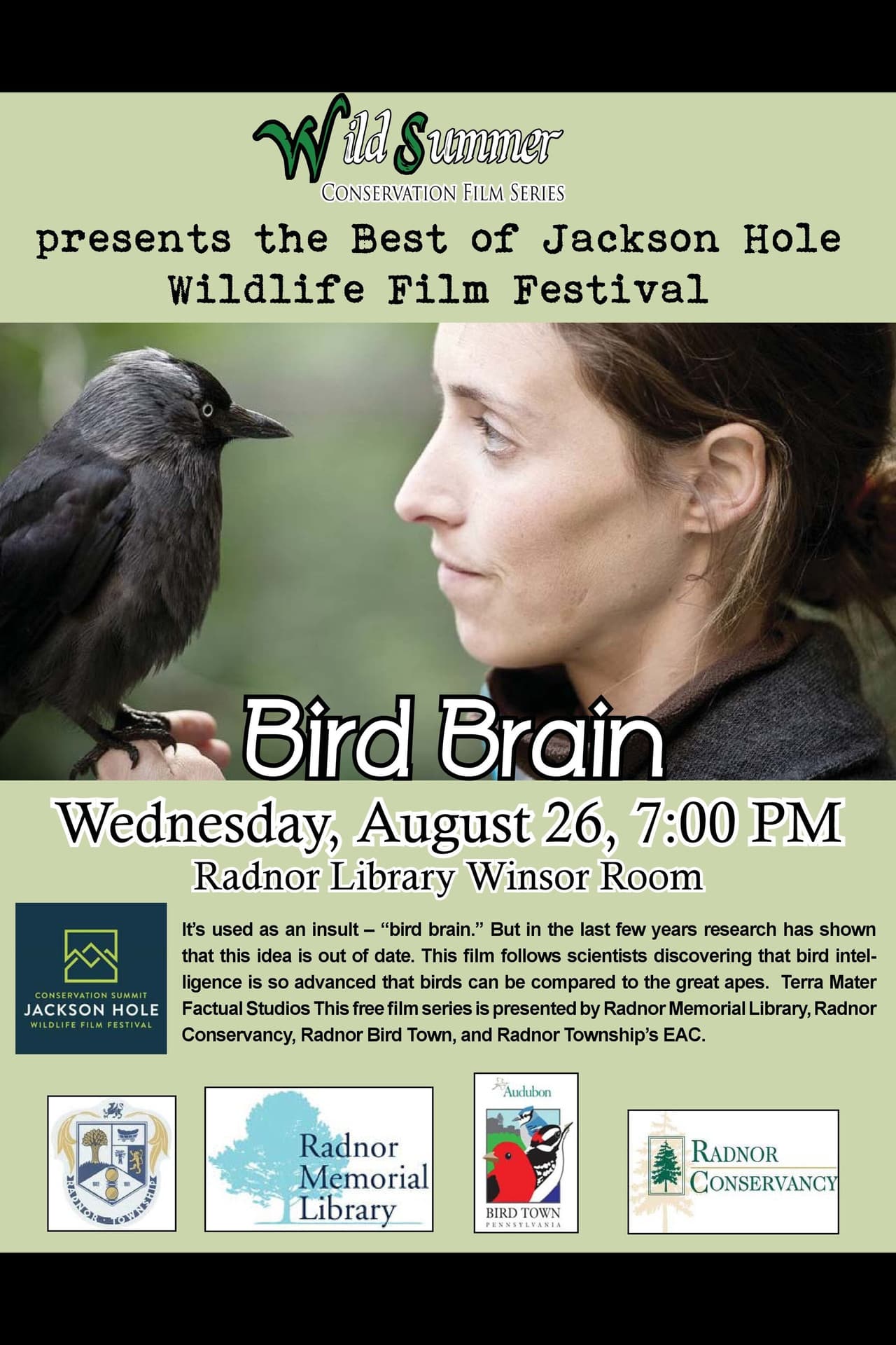 Bird Brain preview 2
