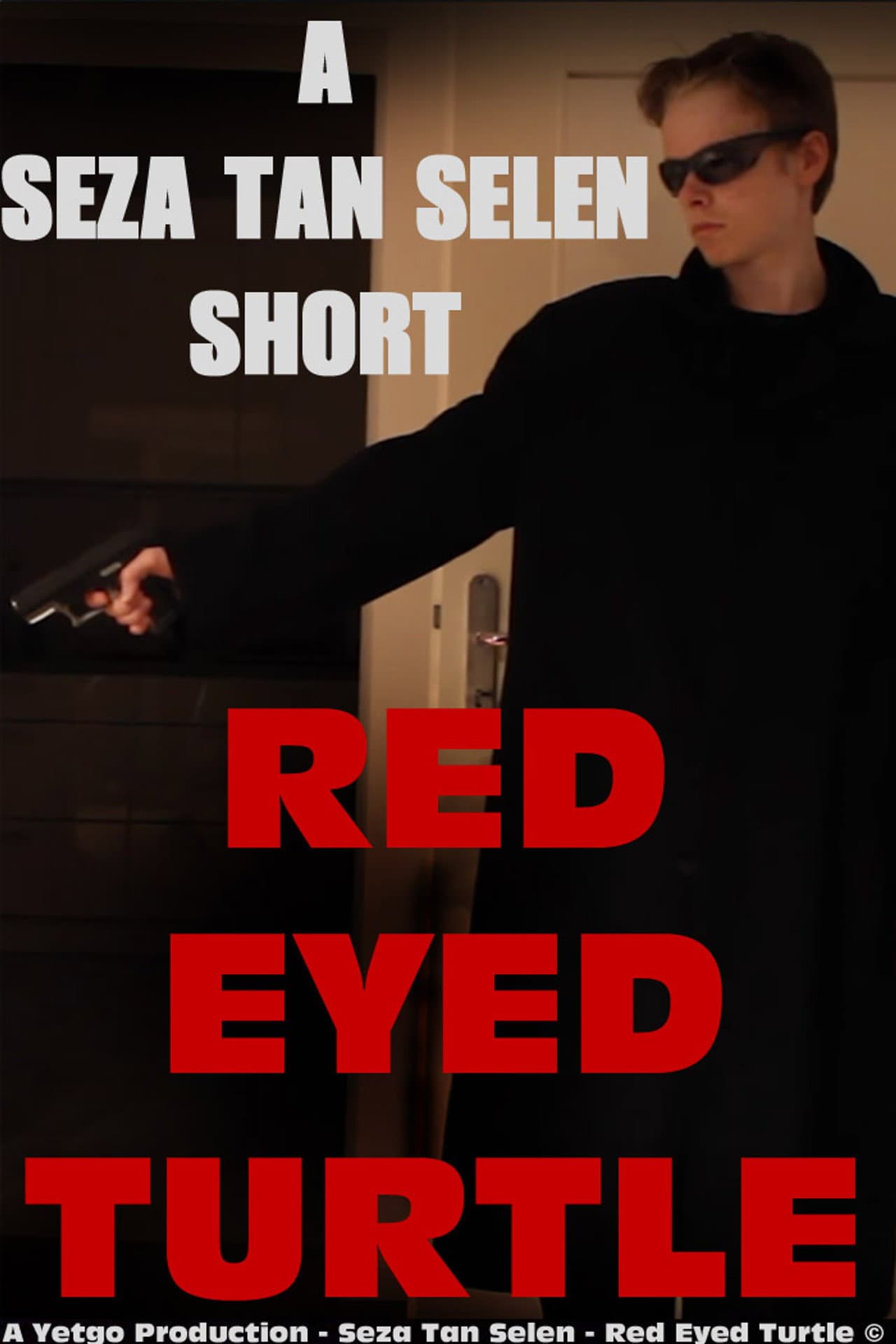 Red Eyed Turtle preview 2
