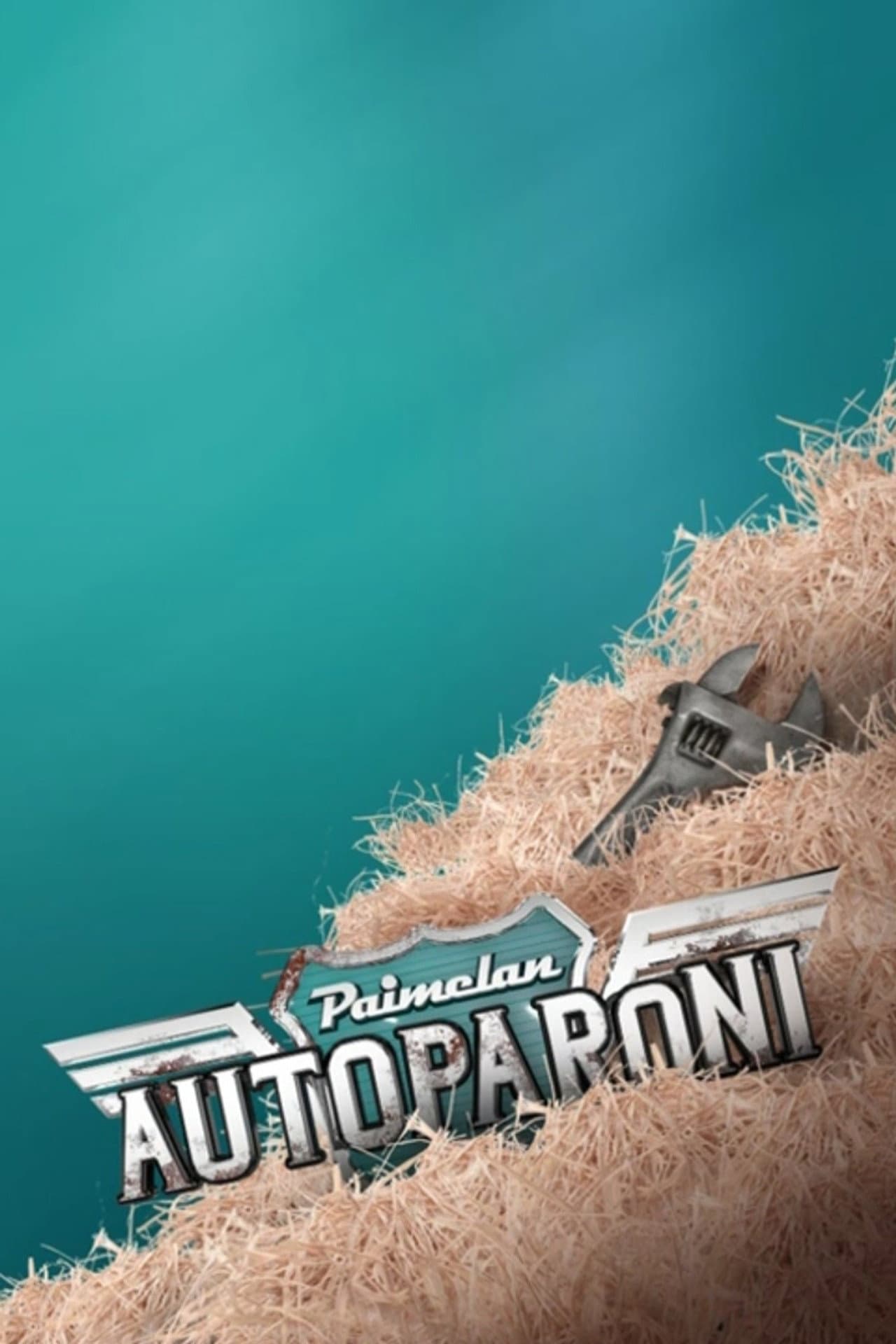 Paimelan autoparoni preview 2