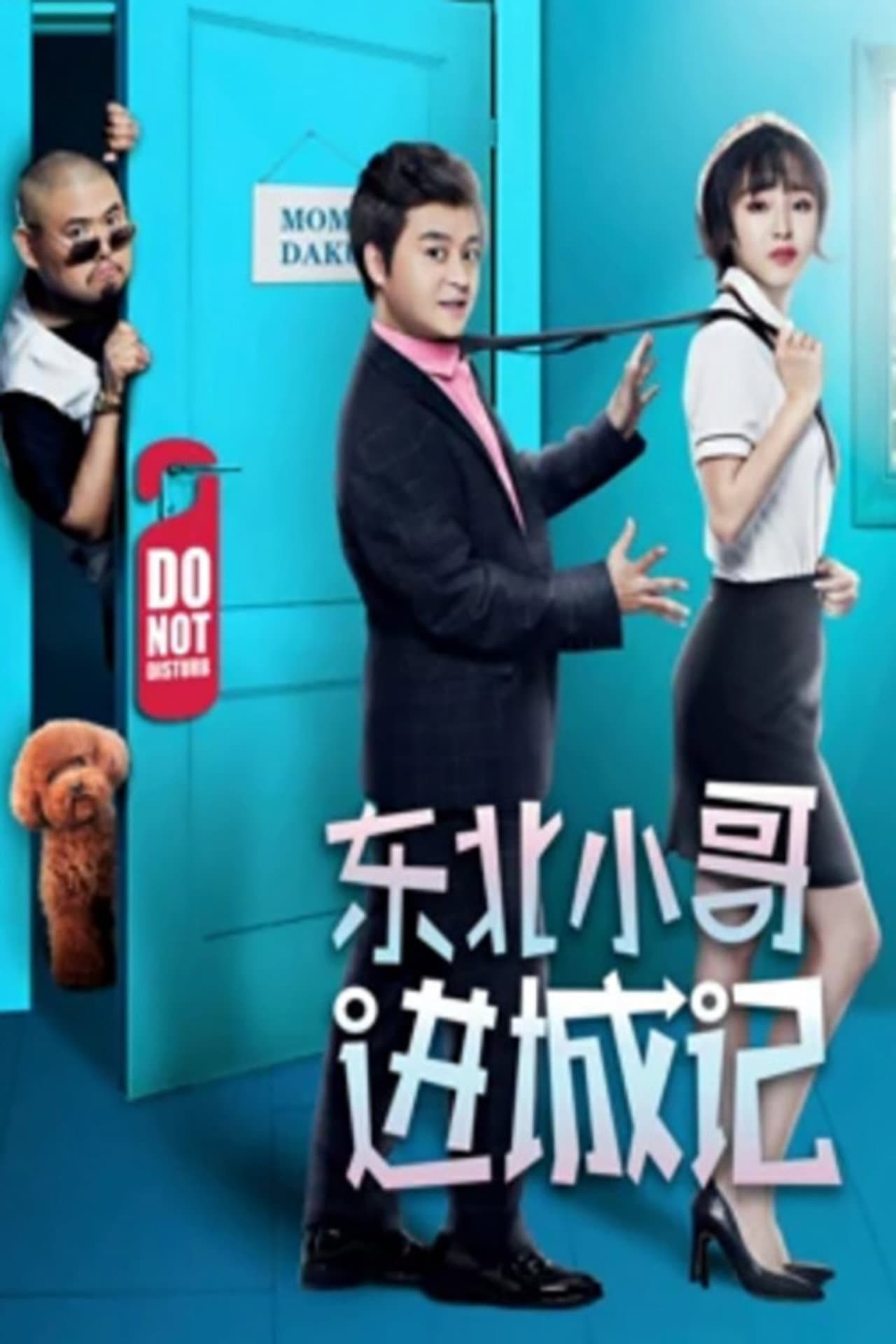 东北小哥进城记 preview 2