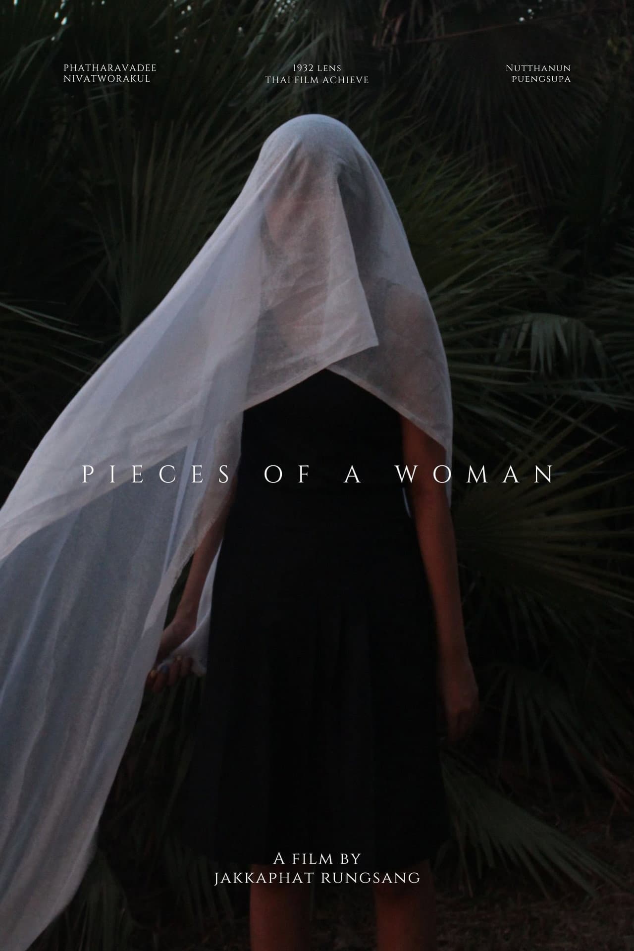 Pieces of a woman preview 2