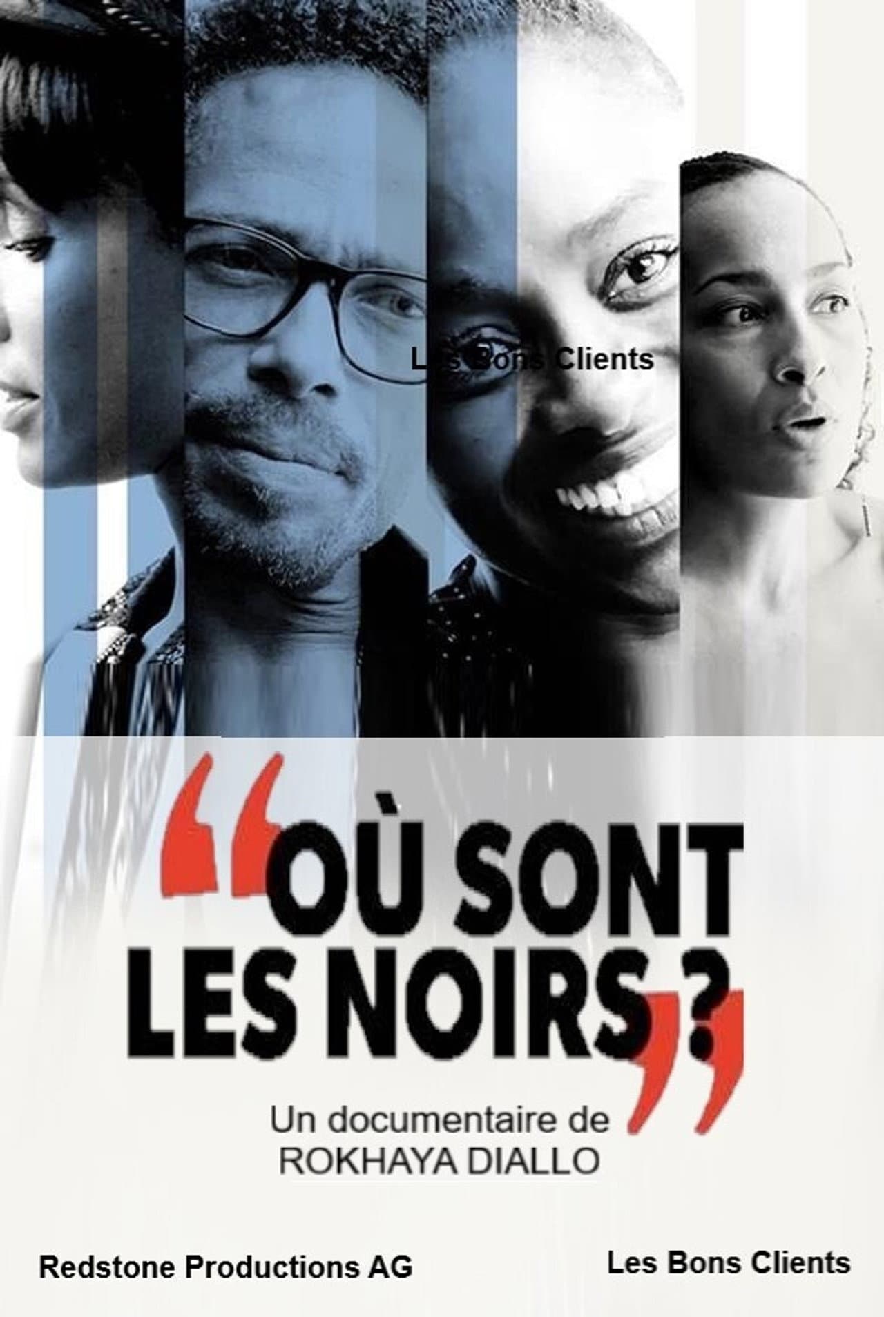 Où sont les noirs ? preview 1