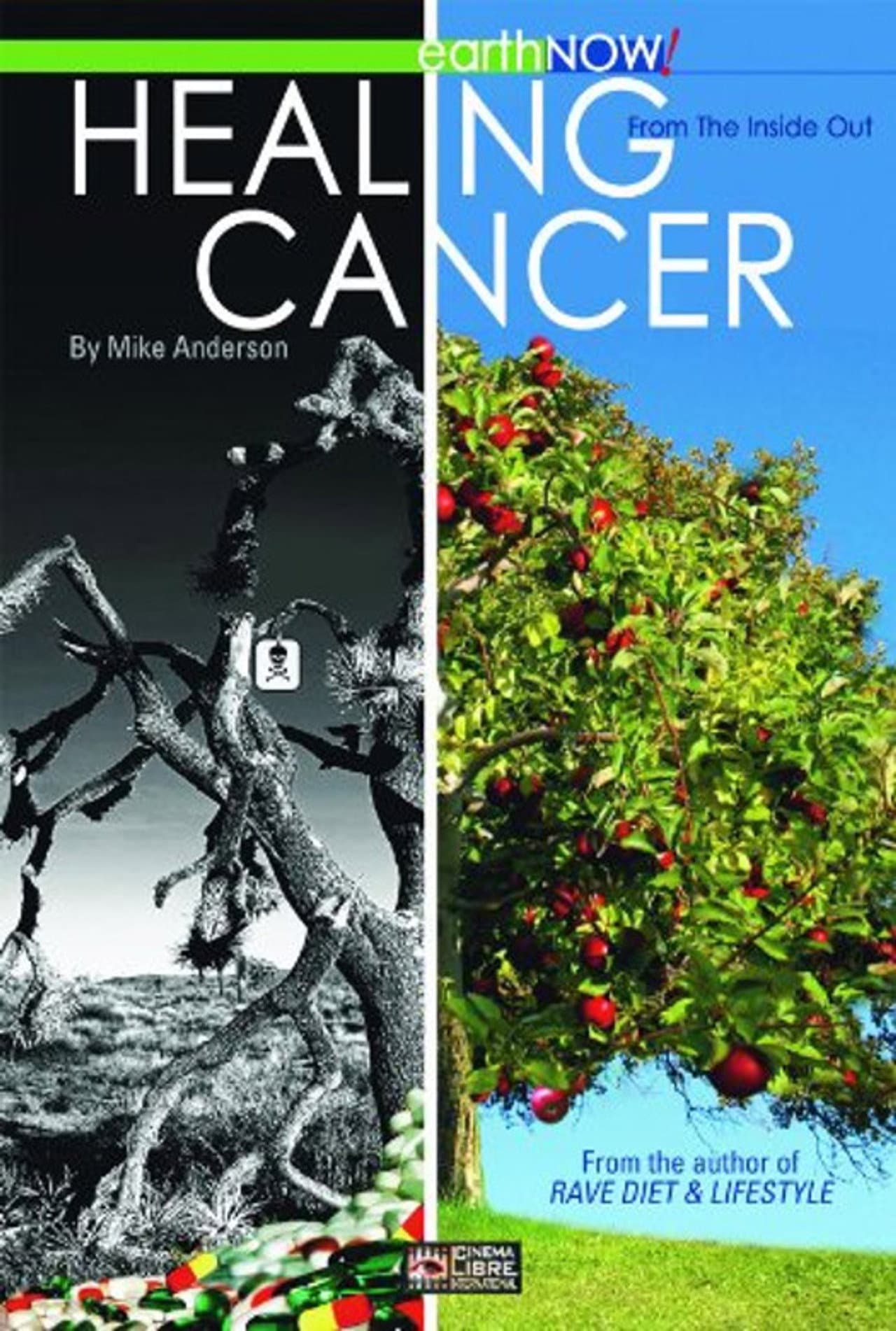 Healing Cancer From The Inside Out preview 1