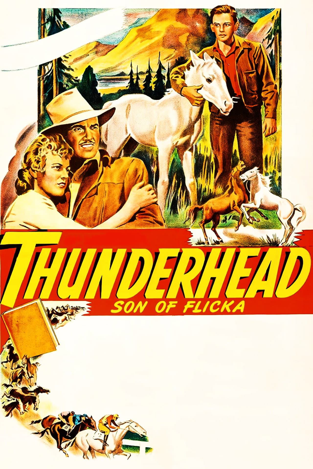 Thunderhead: Son of Flicka preview 2