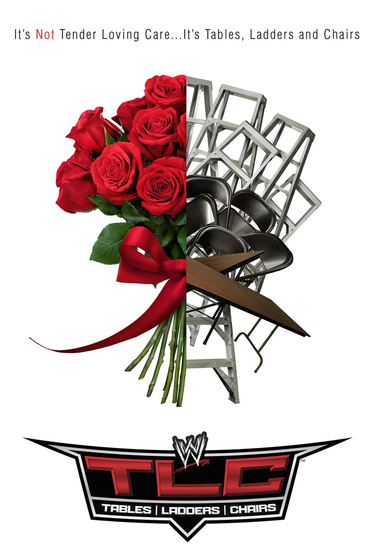 WWE TLC: Tables, Ladders & Chairs 2013 preview 2