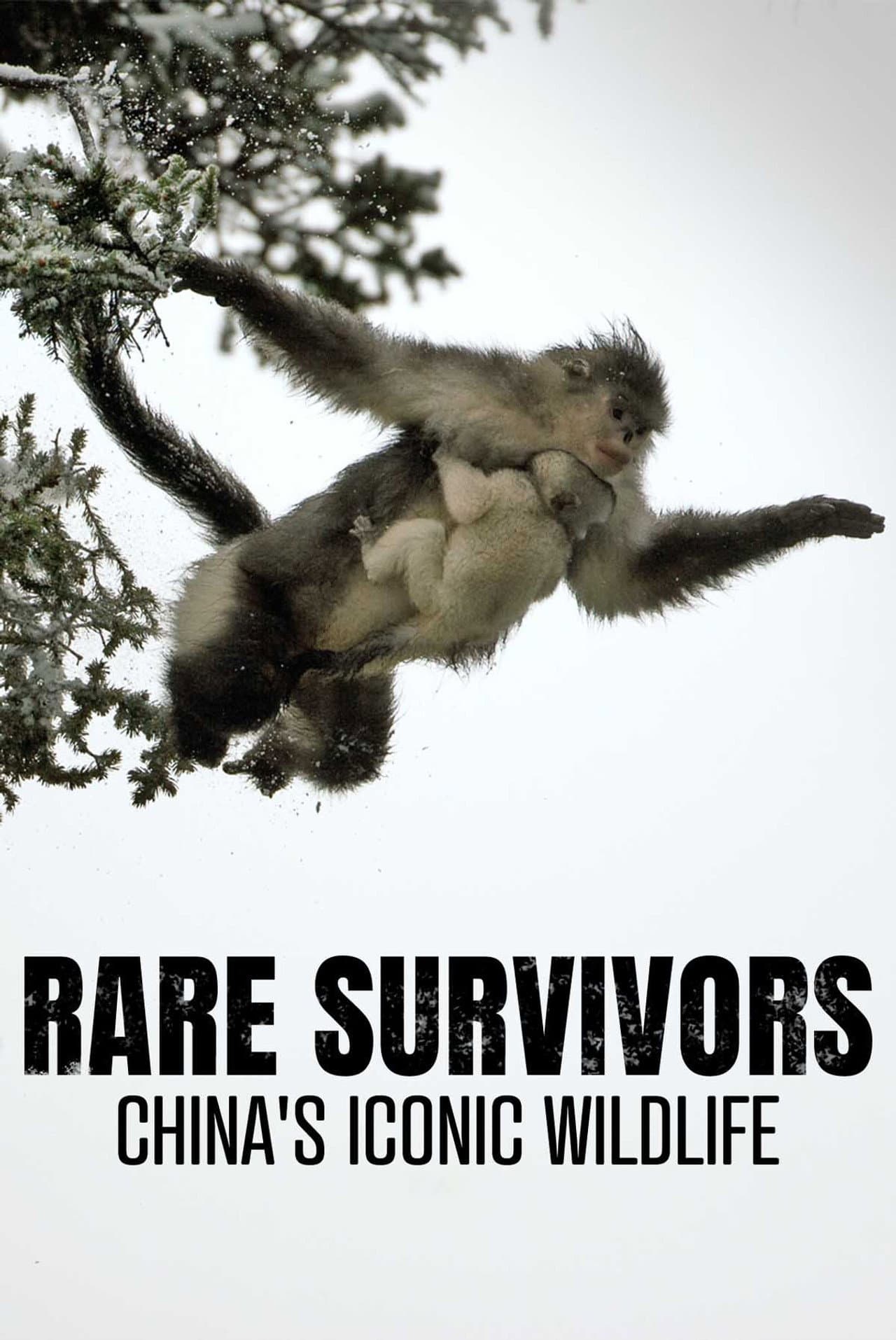 Rare Survivors: China's Iconic Wildlife preview 2