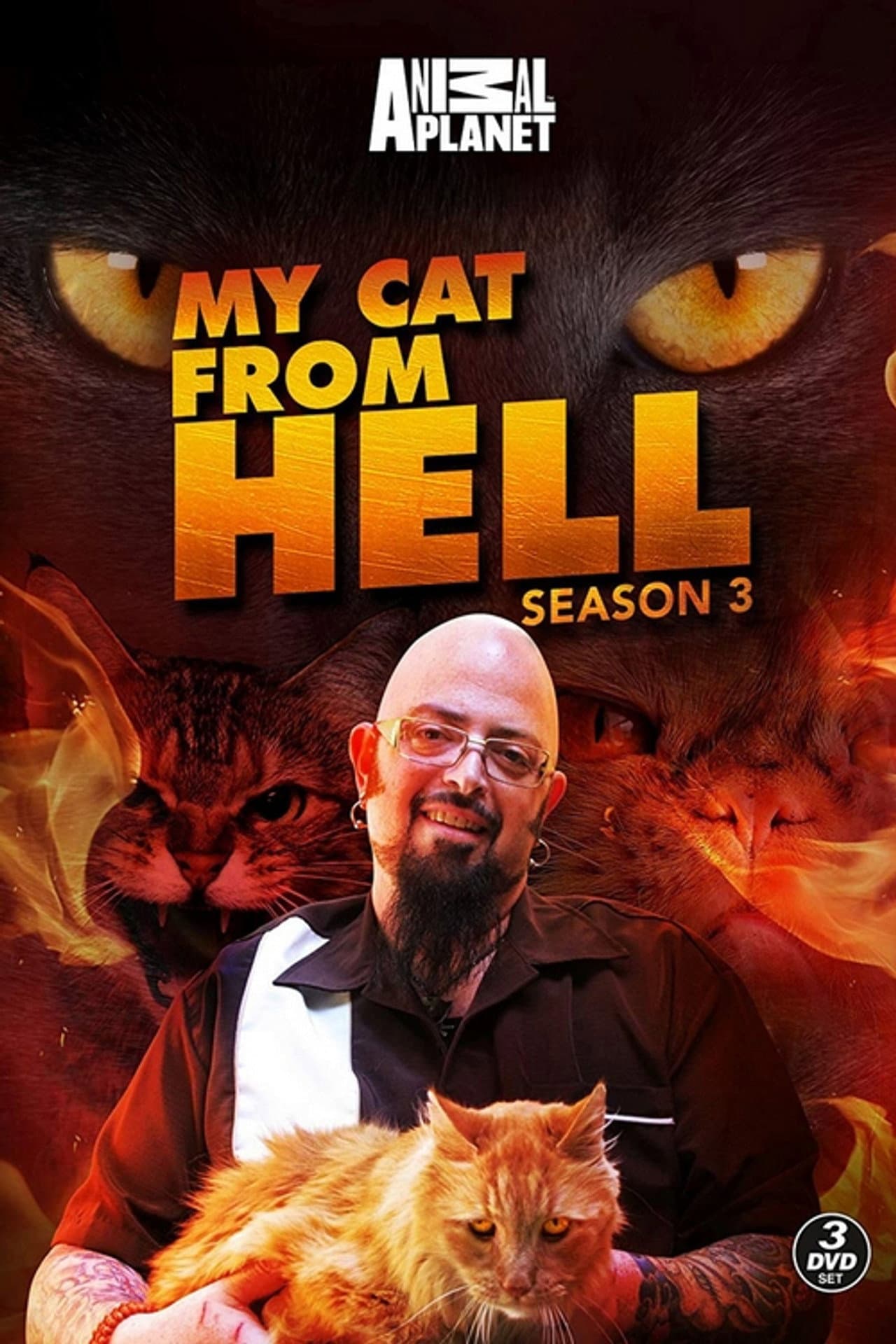 Season 3