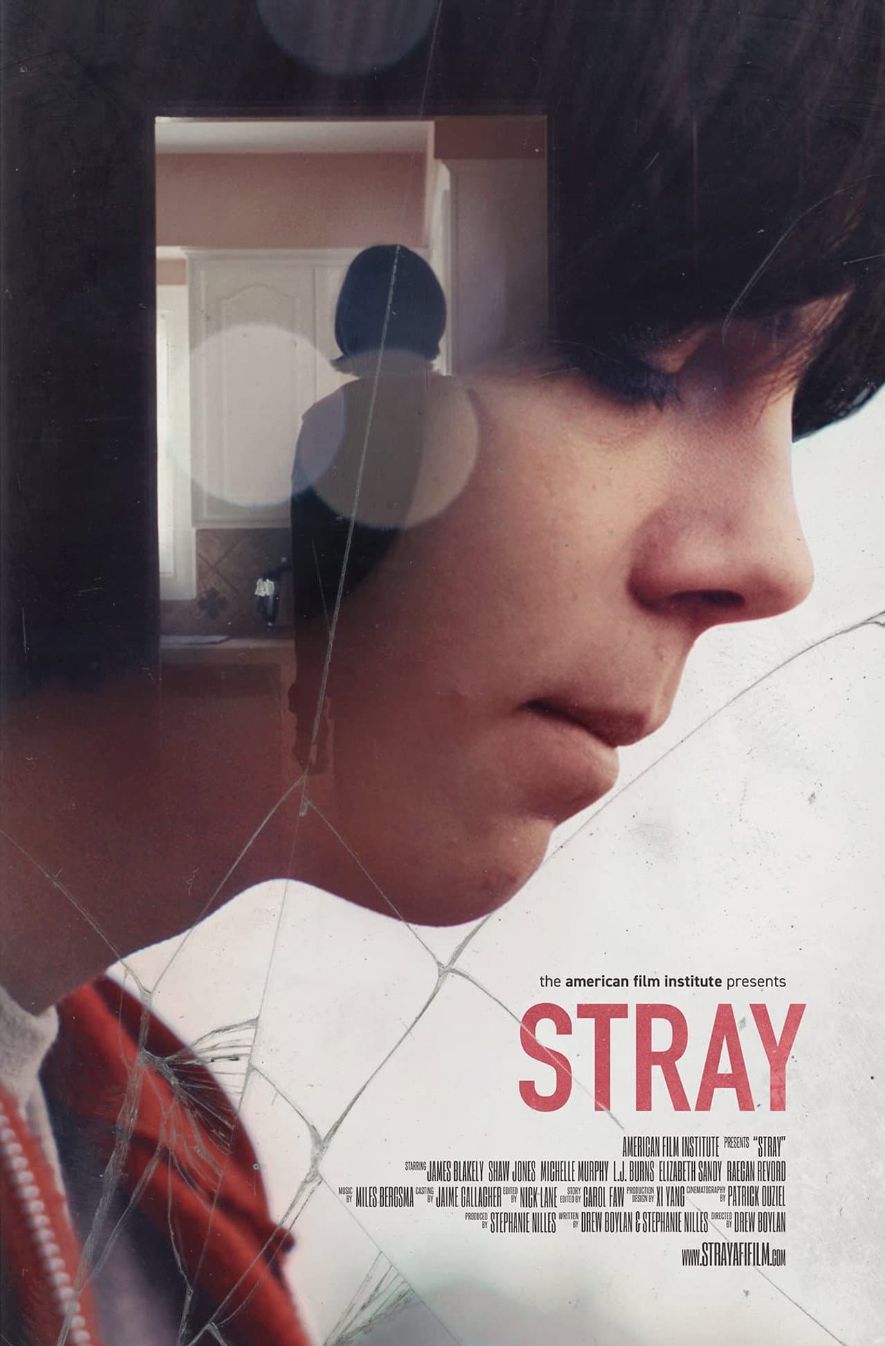 Stray preview 2