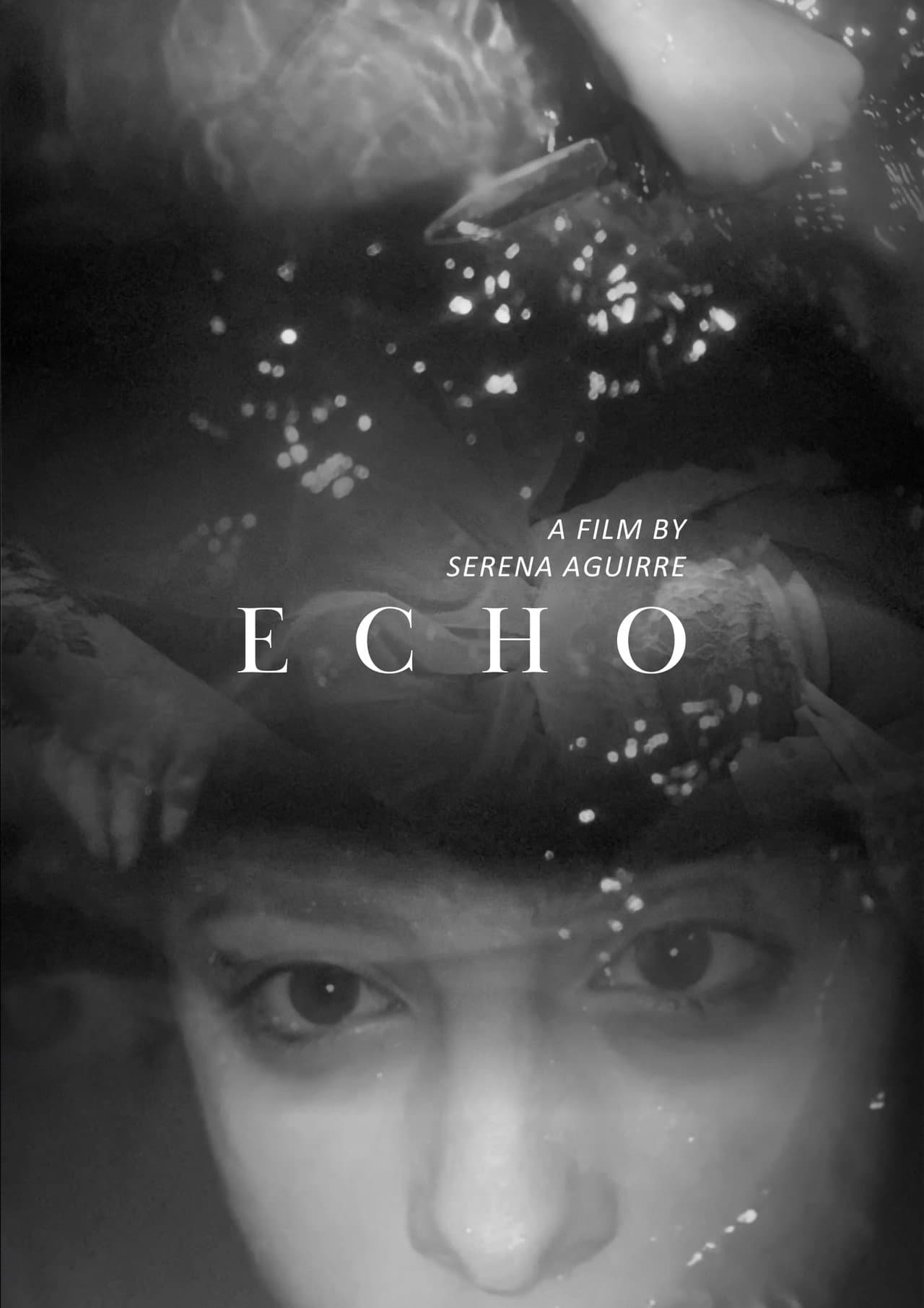 Echo preview 2