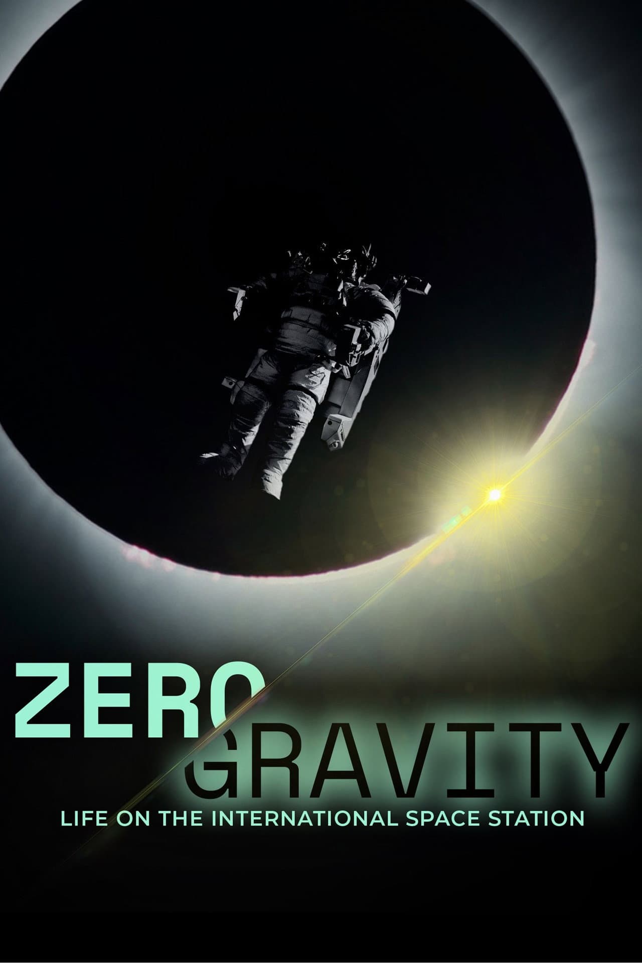 Zero Gravity: Life on the International Space Station preview 2