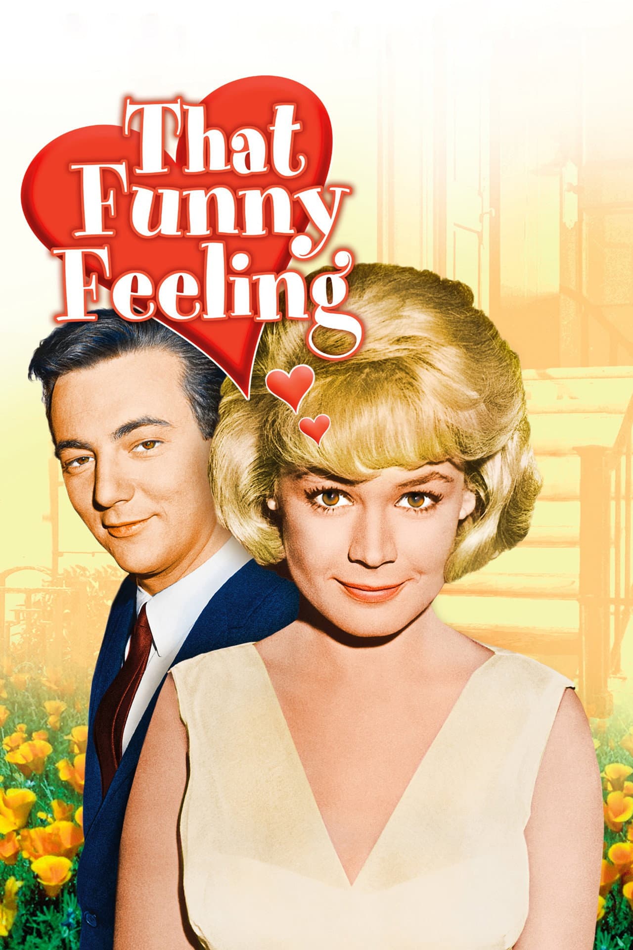 That Funny Feeling preview 2