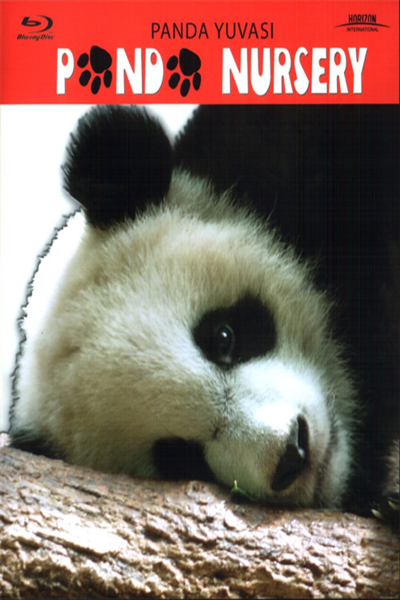 Panda Nursery preview 1
