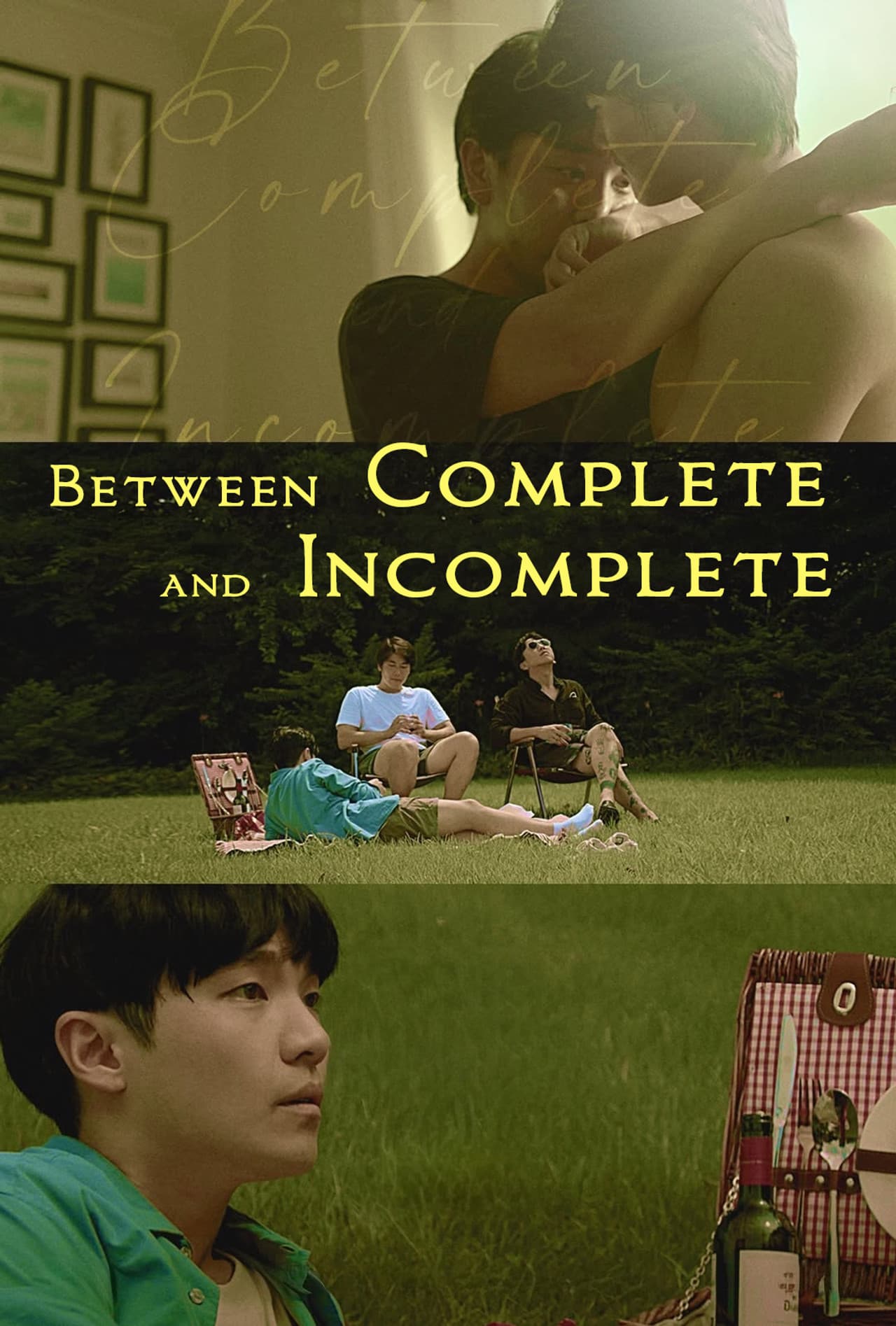 Between Complete and Incomplete preview 2
