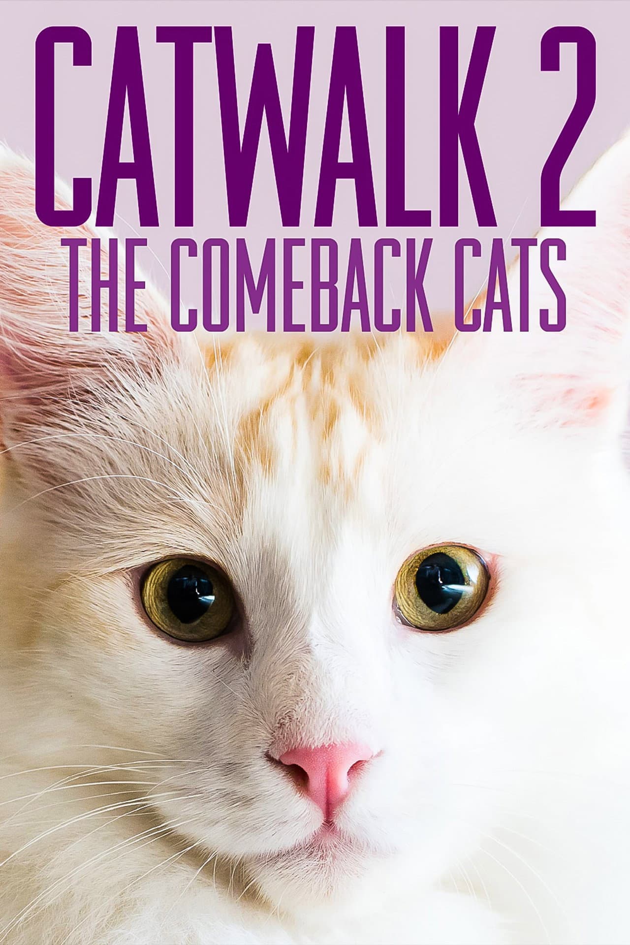 Catwalk 2: The Comeback Cats preview 2