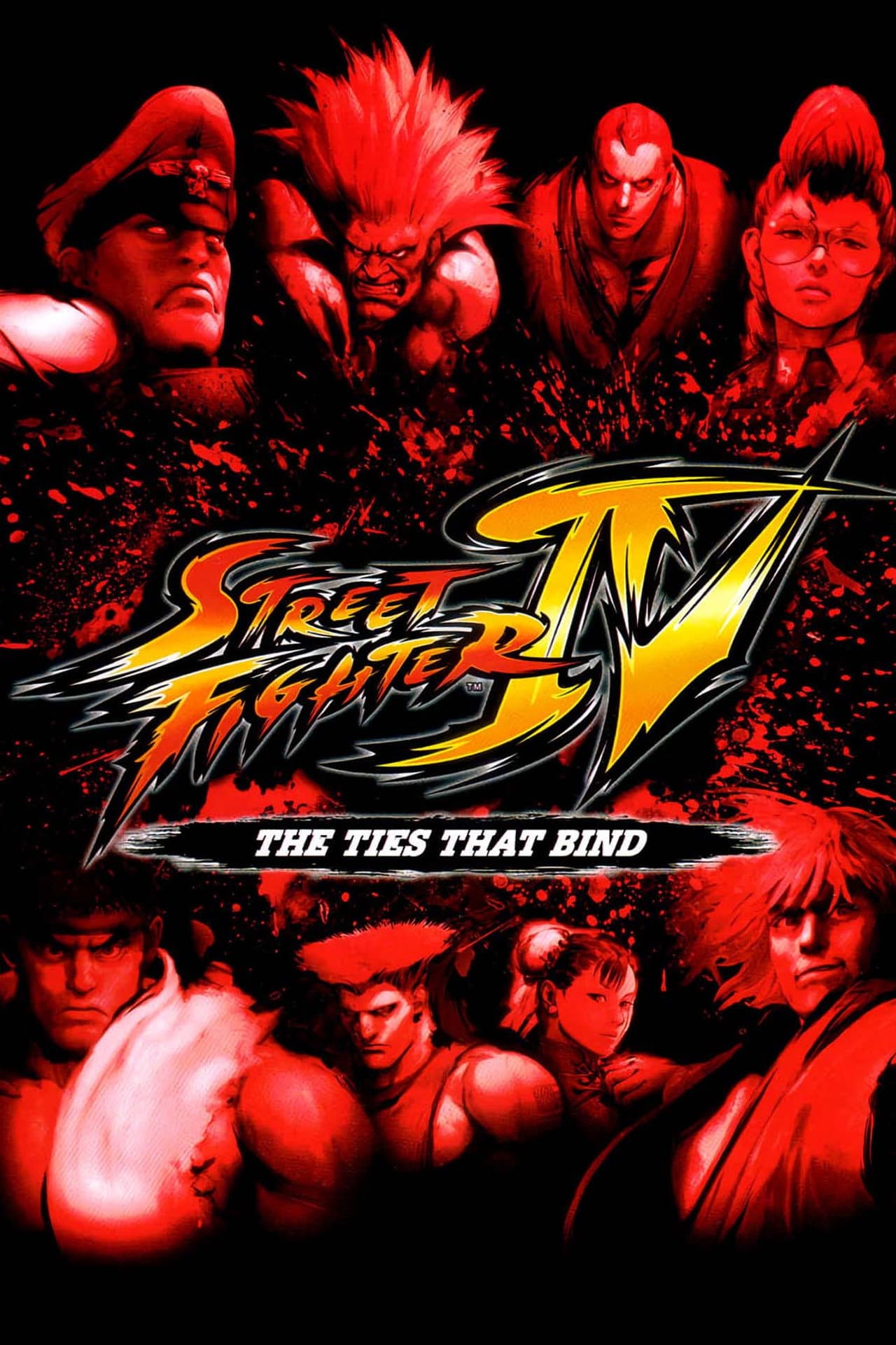 Street Fighter IV: The Ties That Bind preview 2