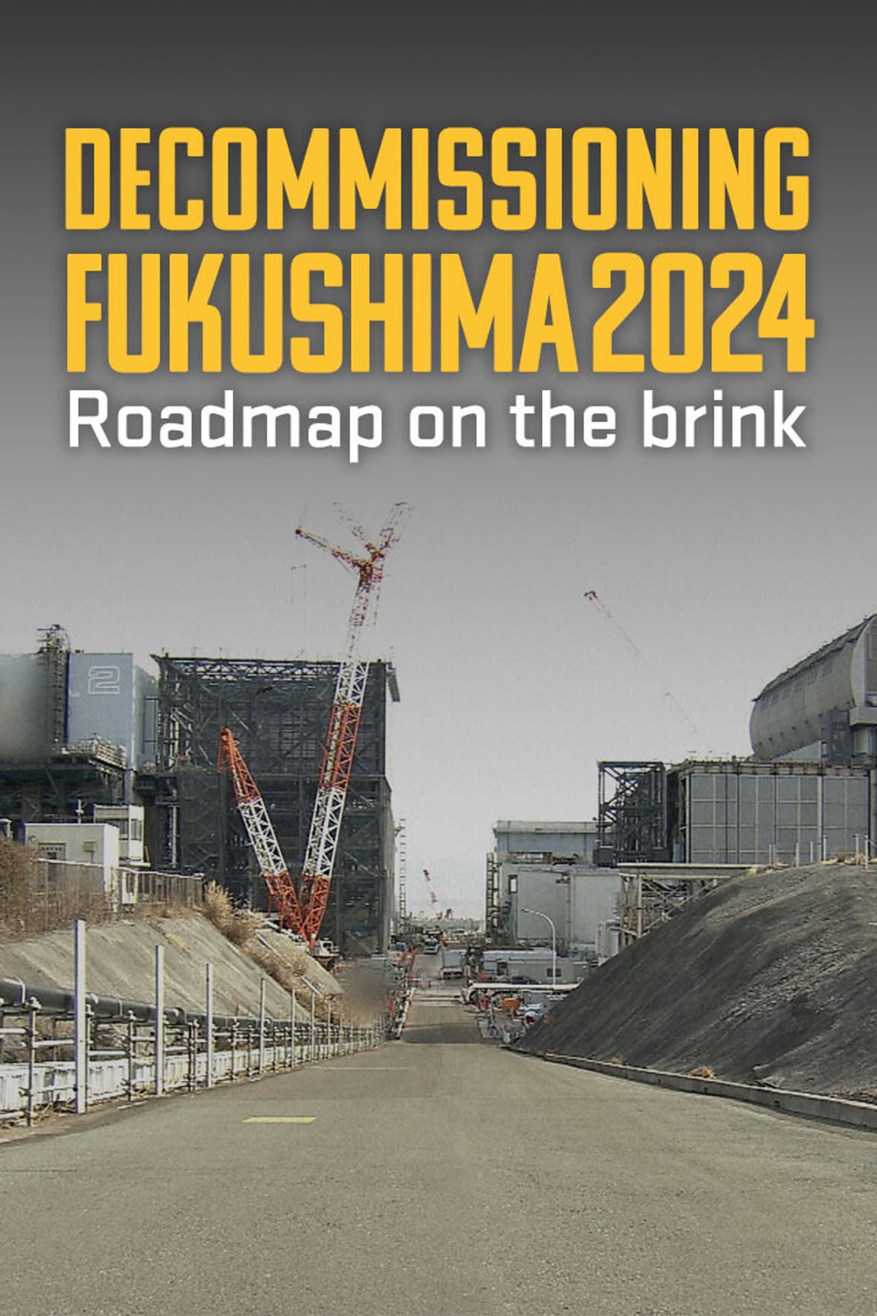 Decommissioning Fukushima 2024: Roadmap on the Brink preview 1