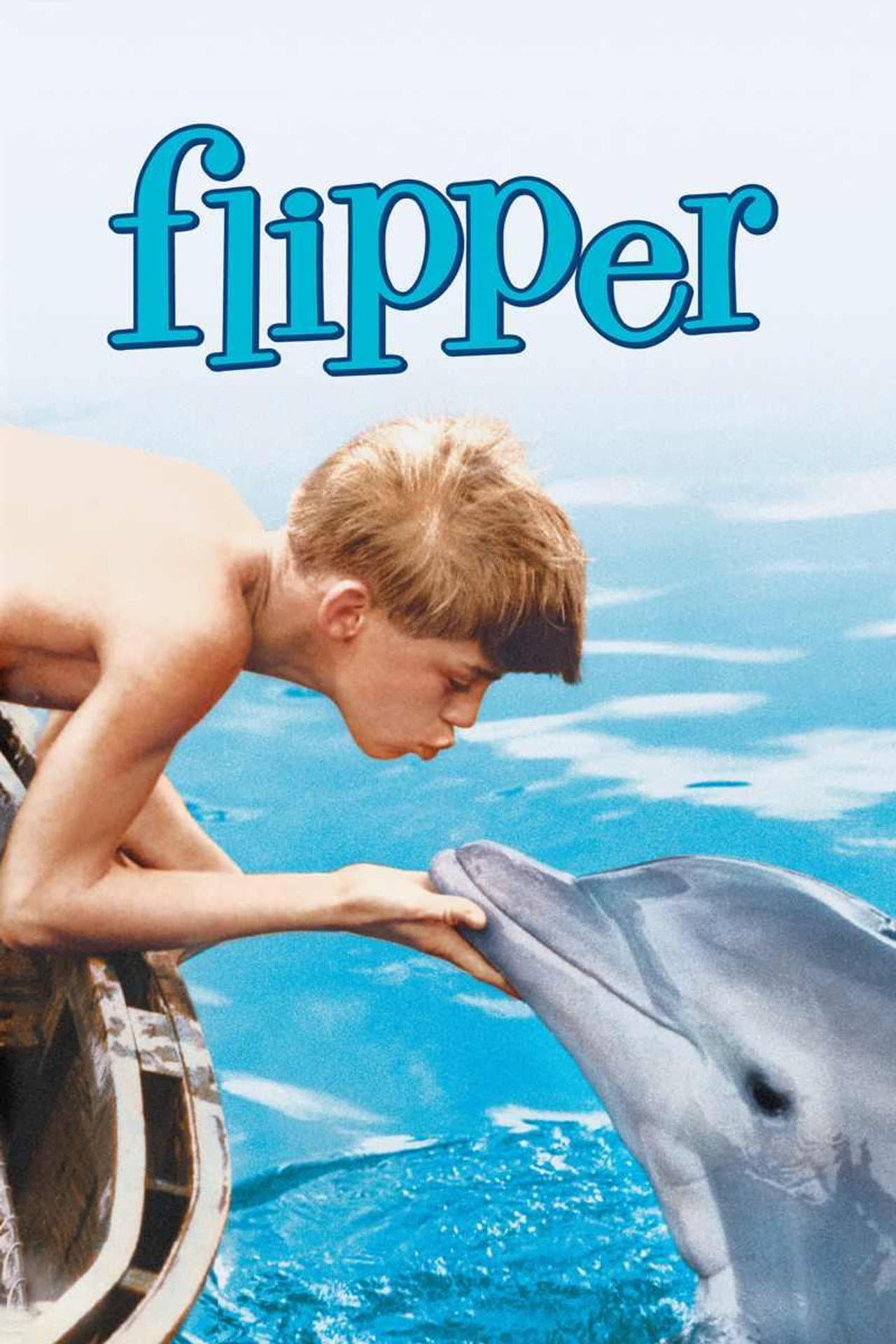 Flipper preview 2