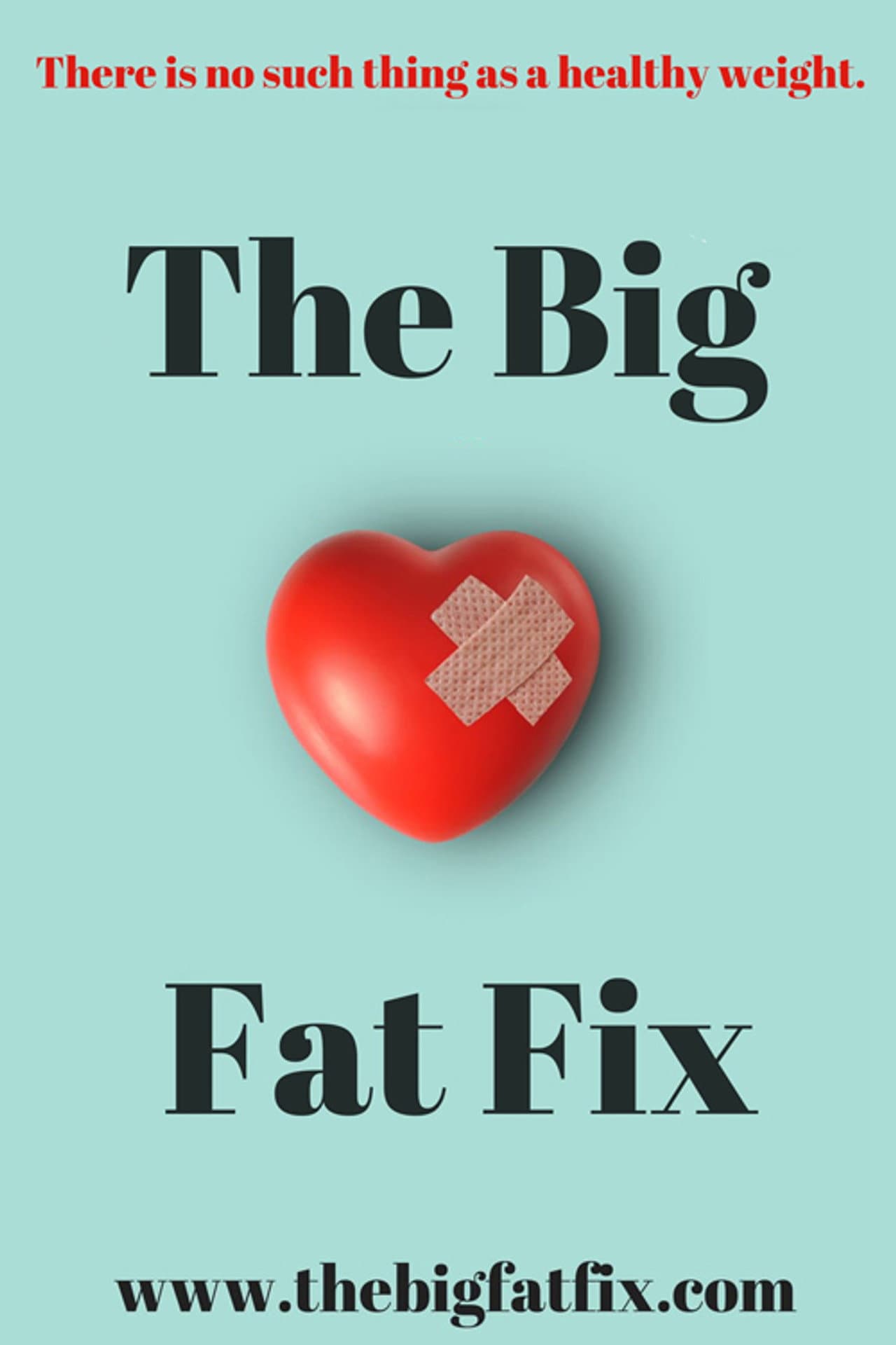 The Big Fat Fix preview 2