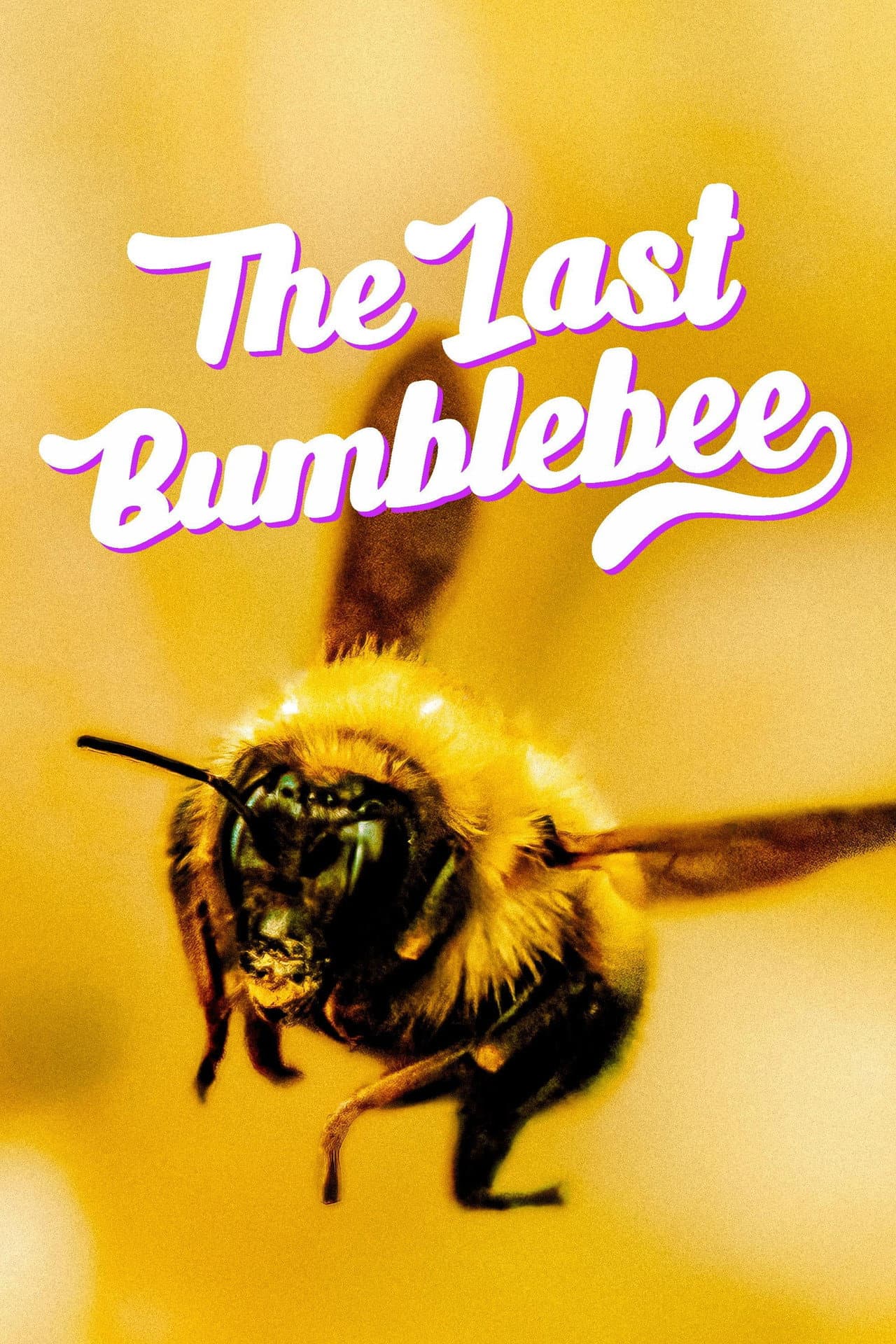 The Last Bumblebee preview 2