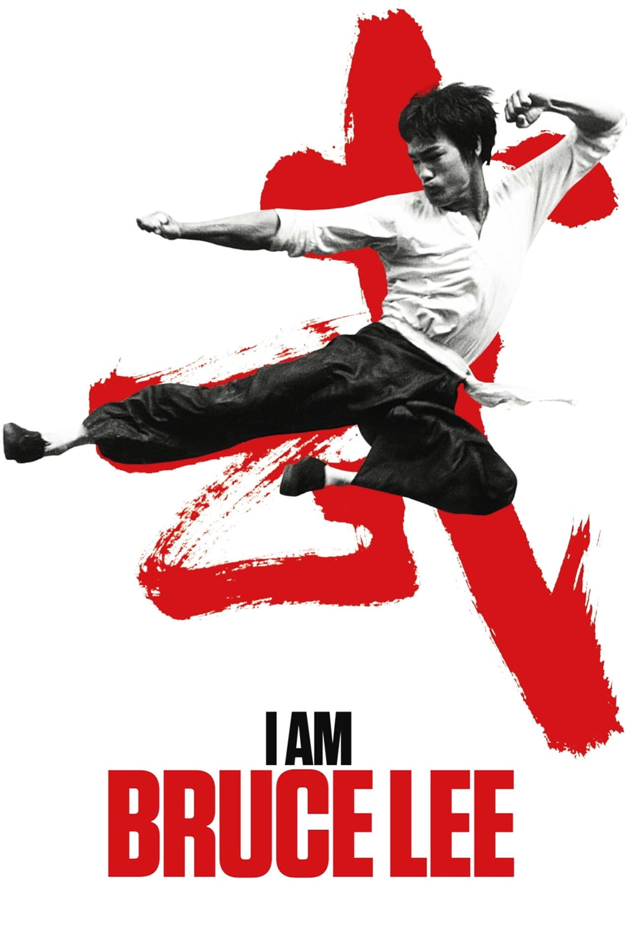 I Am Bruce Lee preview 2