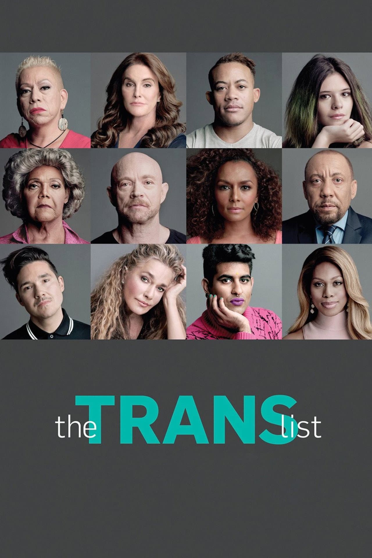 The Trans List preview 2