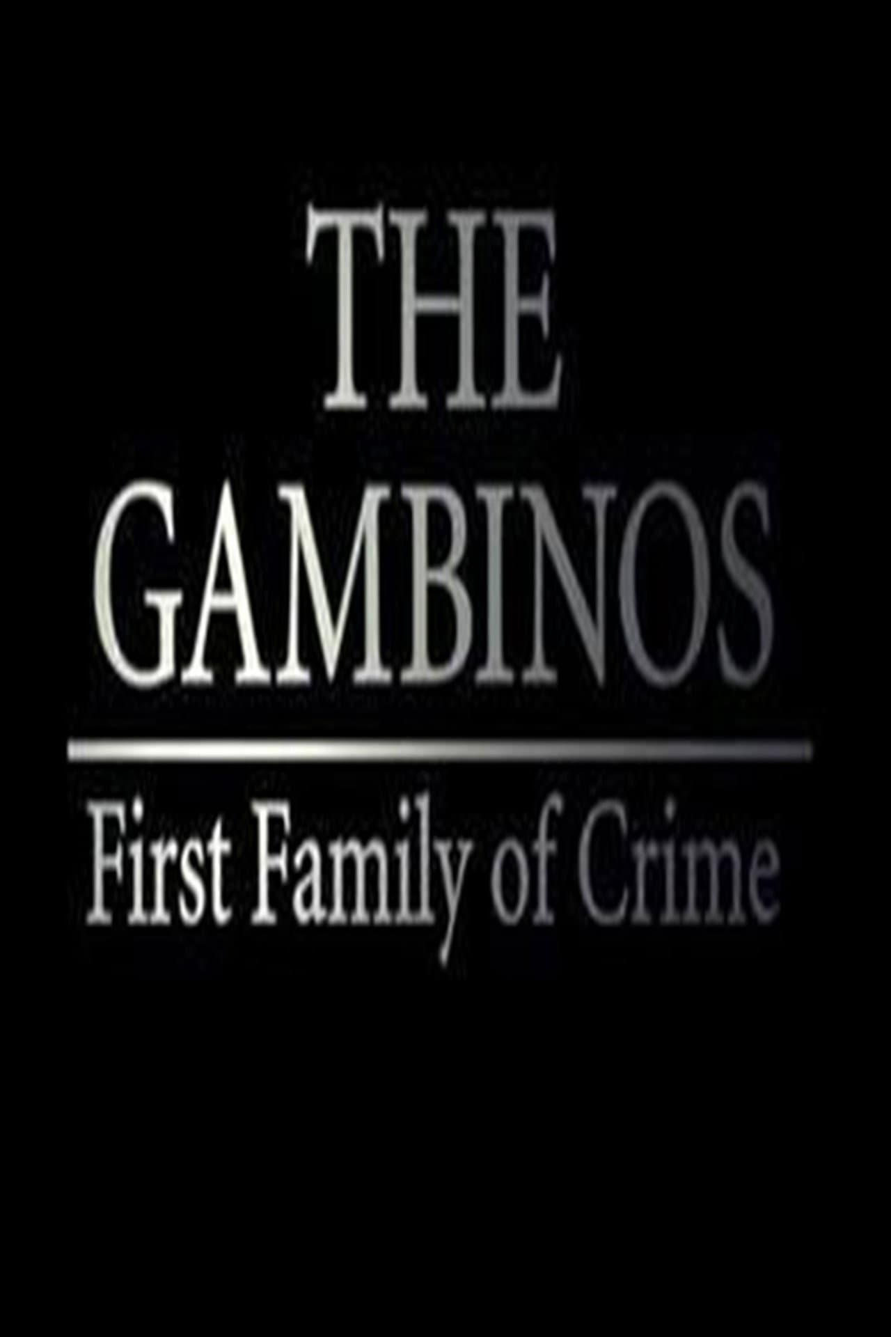 The Gambinos: First Family of Crime preview 1