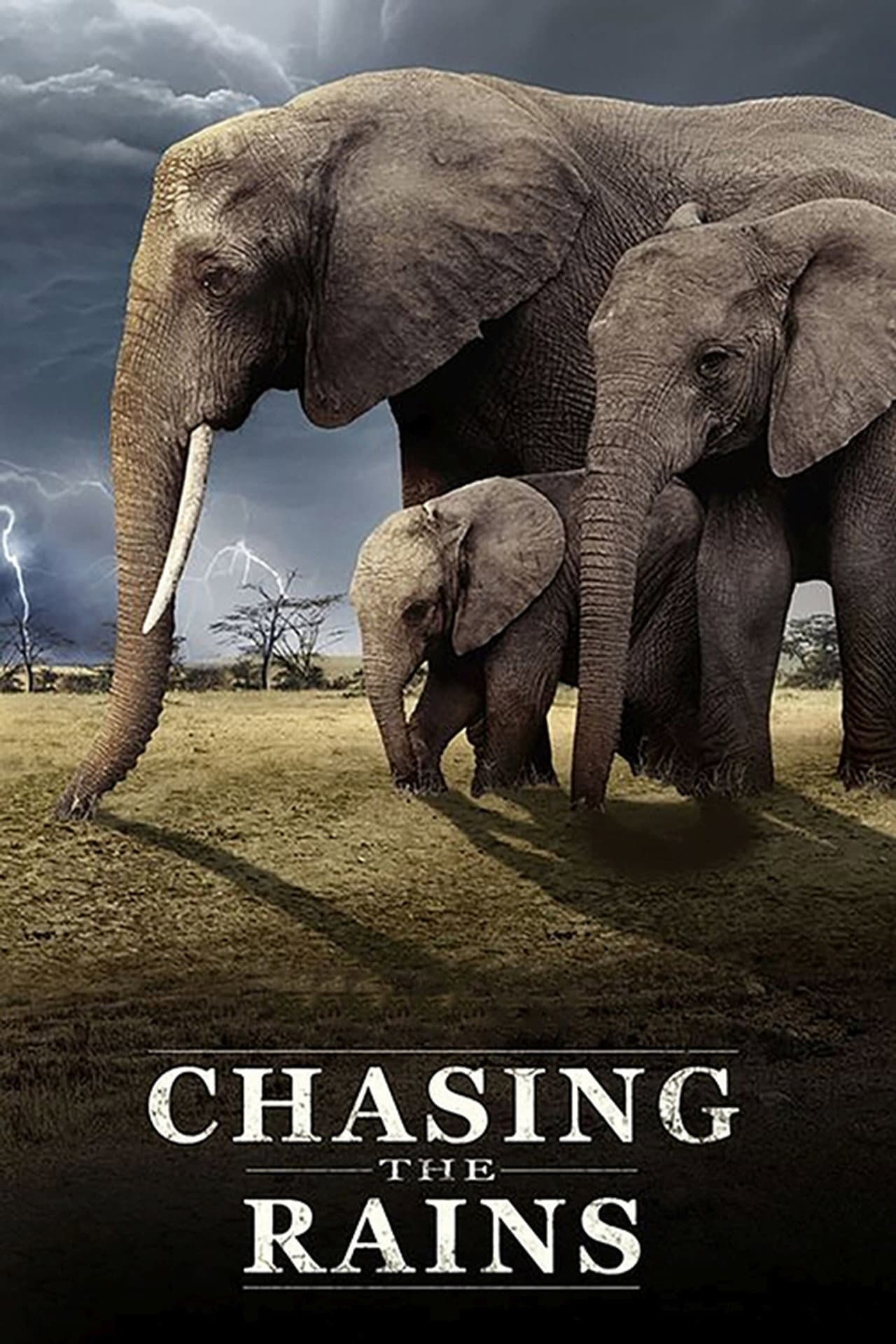 Chasing the Rains preview 2