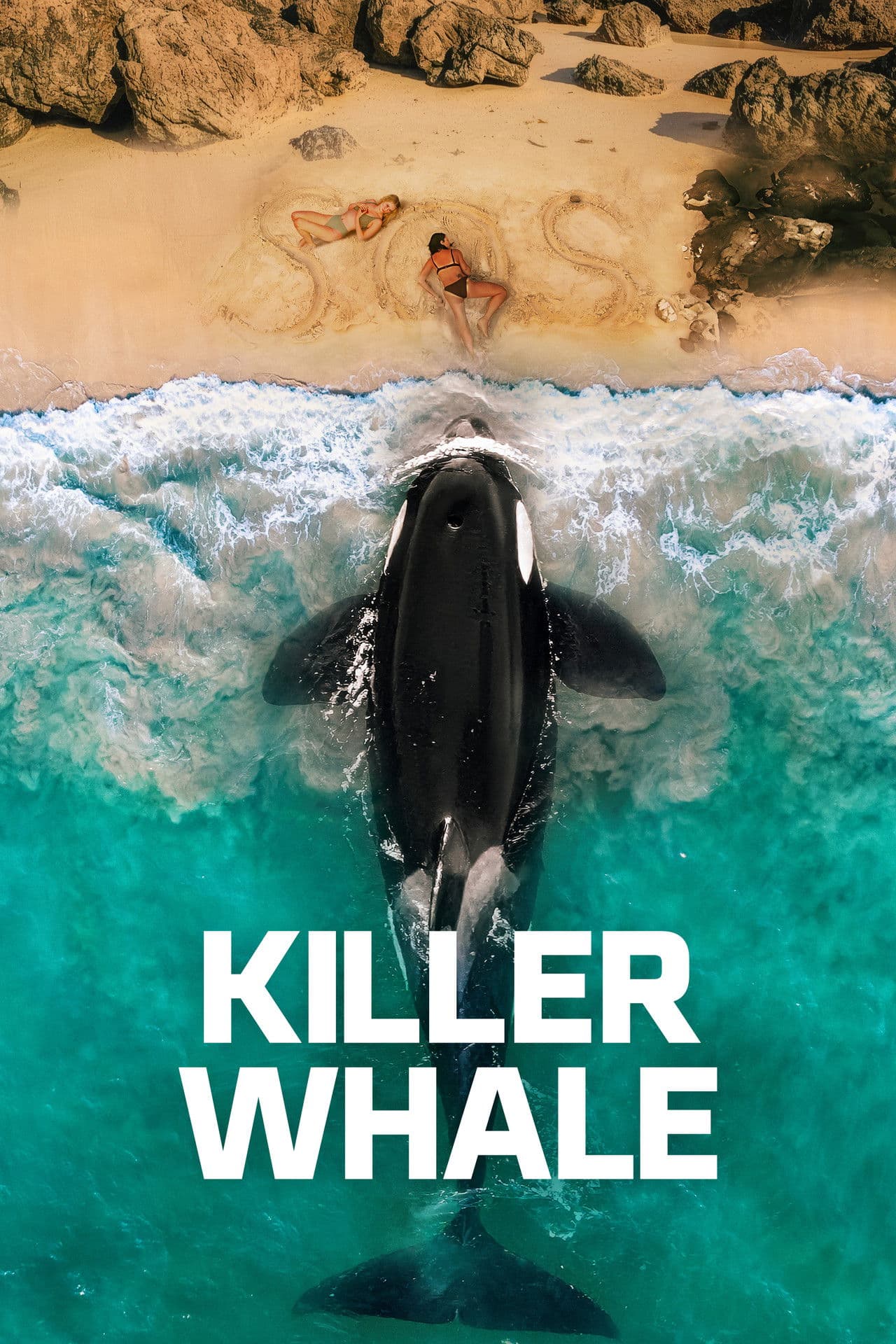 Killer Whale preview 2