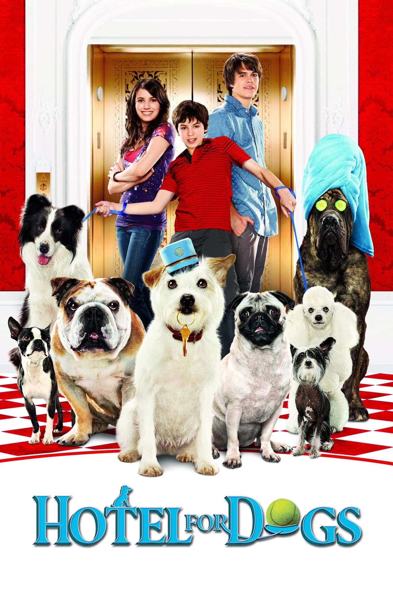 Hotel for Dogs preview 2