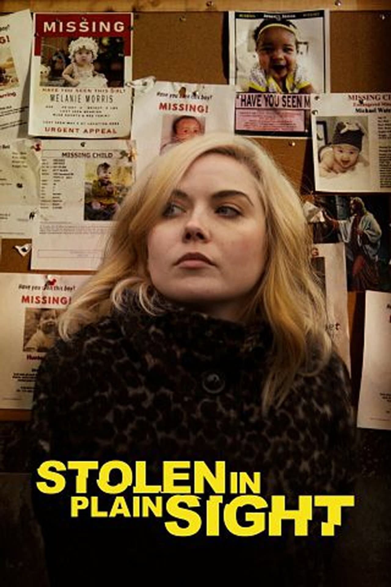 Stolen in Plain Sight preview 2