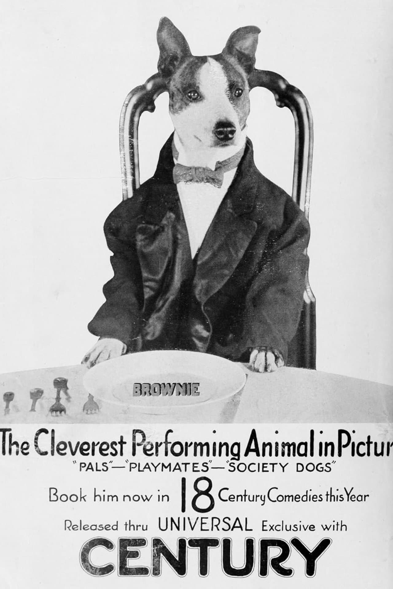 Society Dogs preview 1