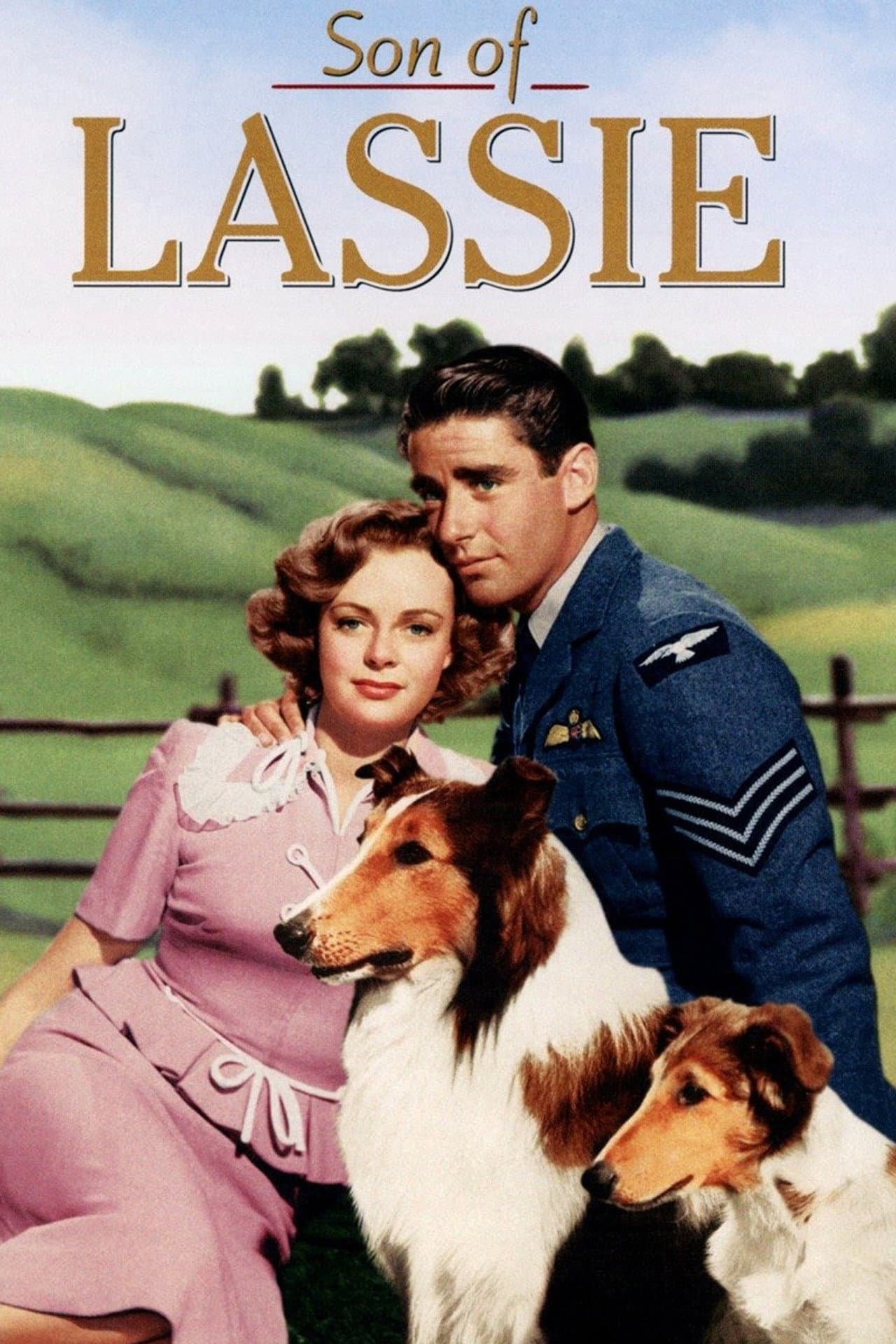 Son of Lassie preview 2