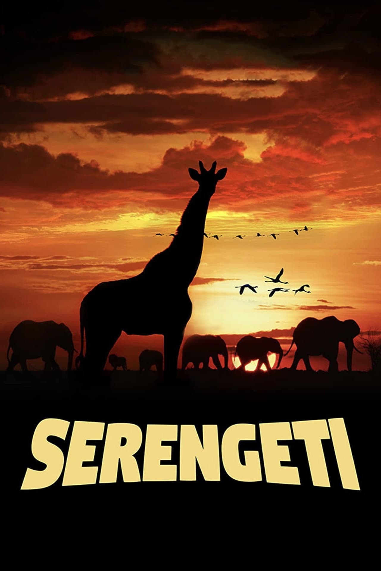 Serengeti preview 1