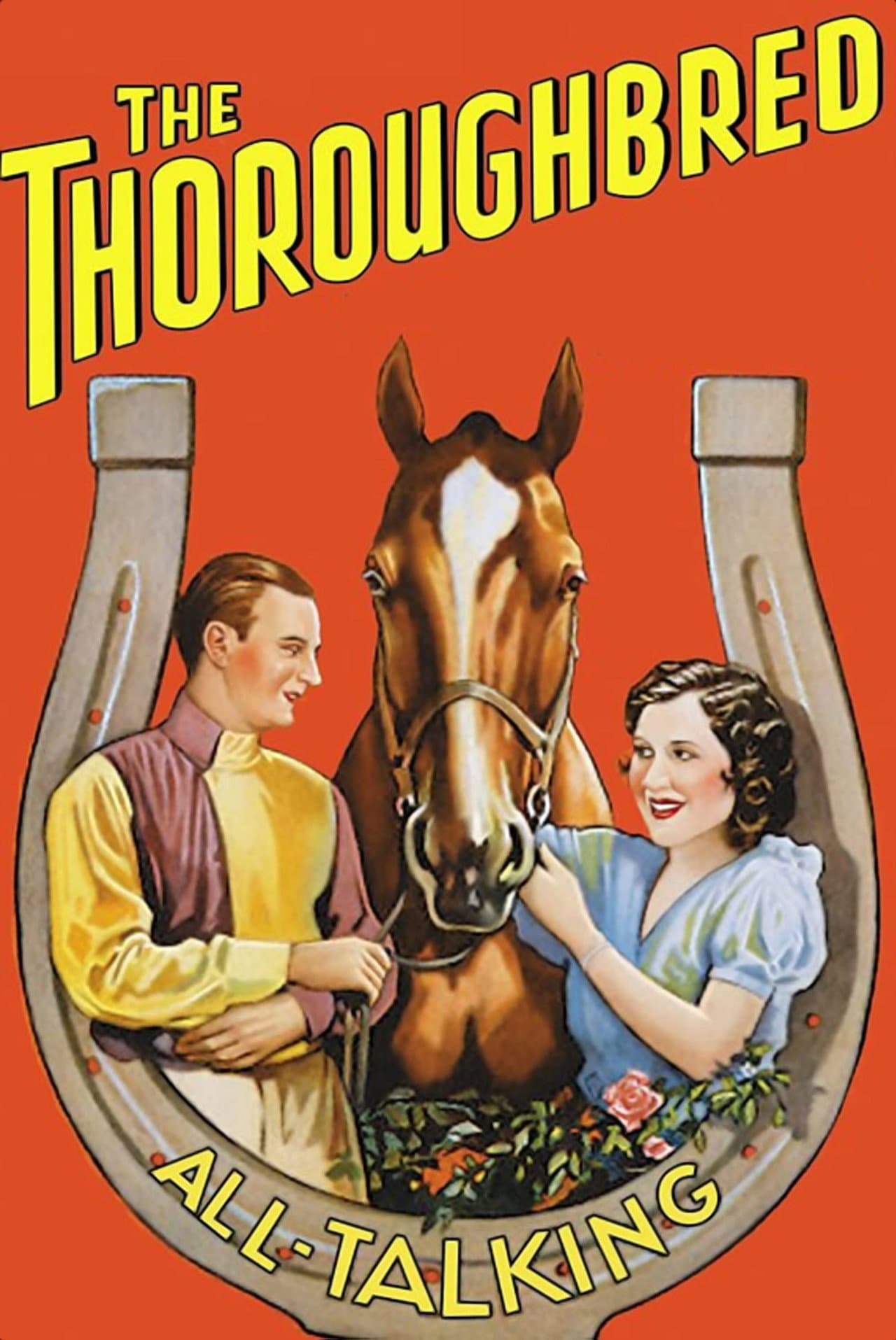 The Thoroughbred preview 2