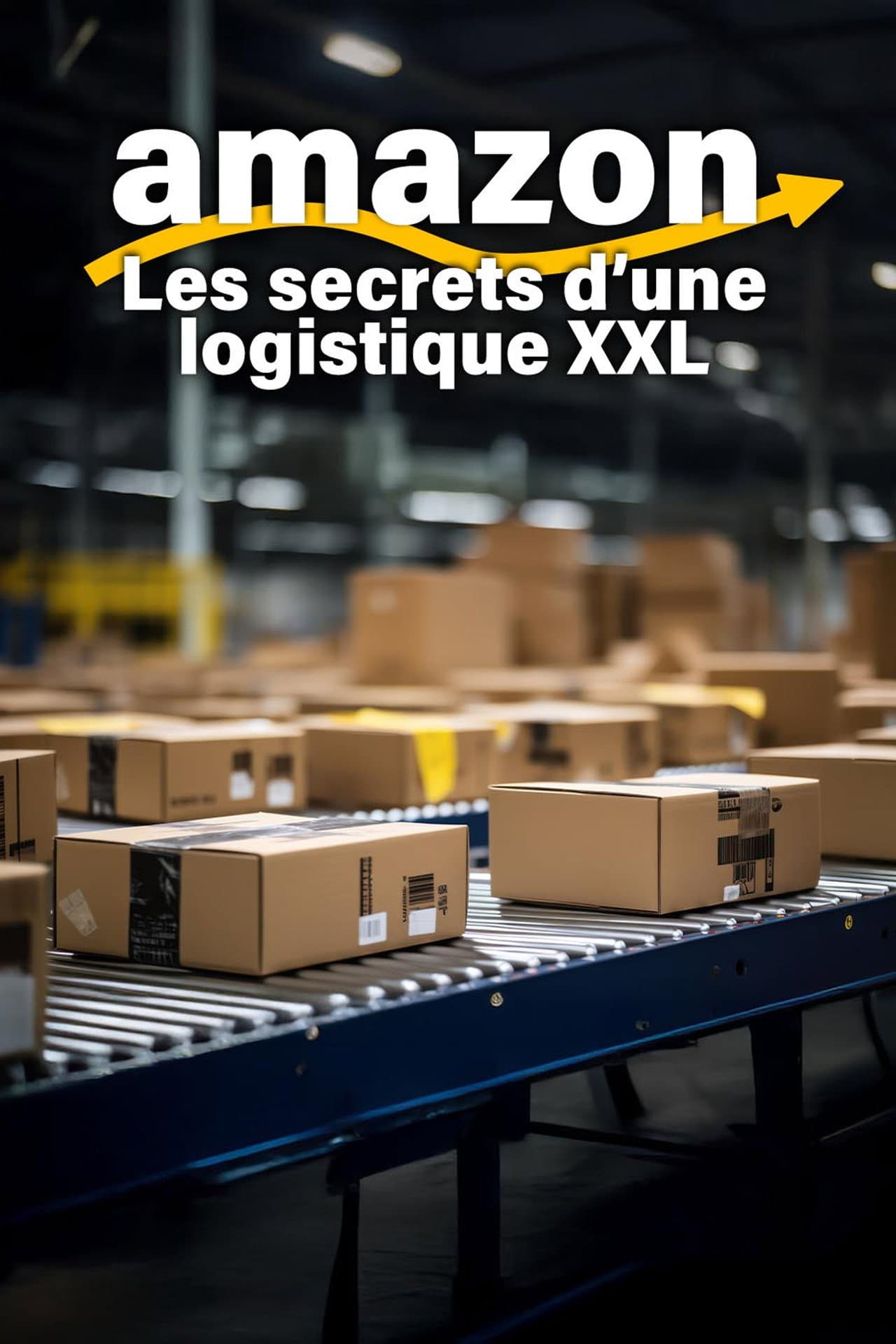 Amazon, les secrets d'une logistique XXL preview 1