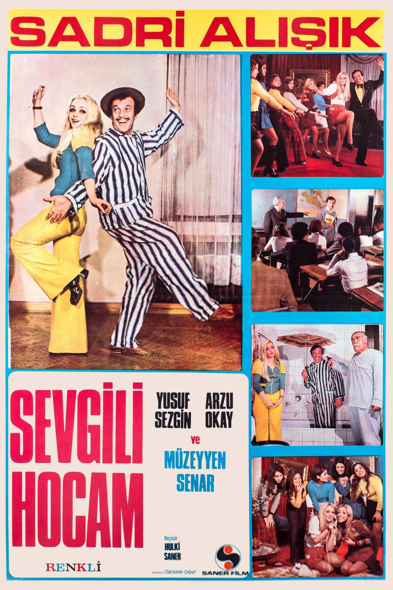 Sevgili Hocam preview 2