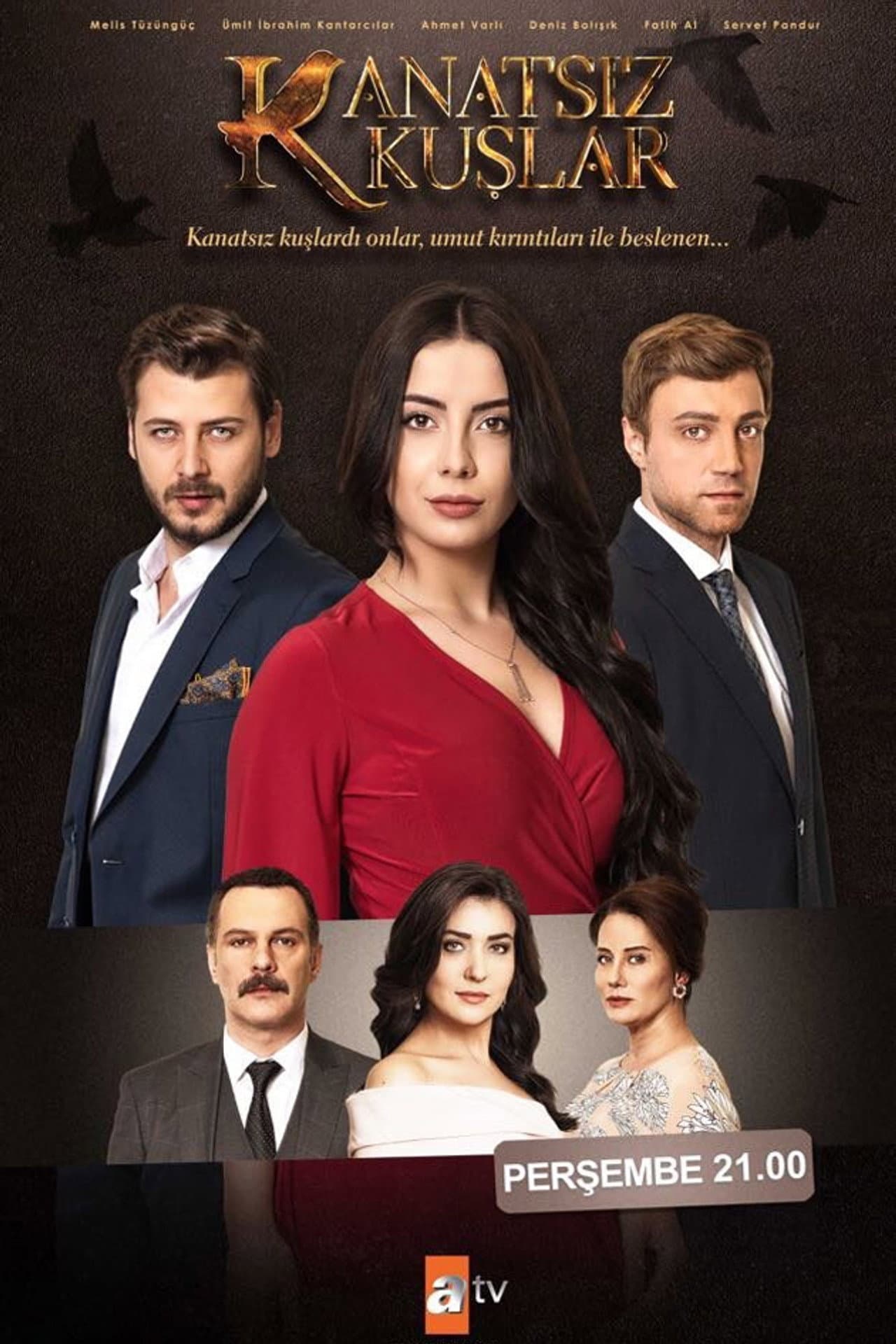طيور بلا أجنحة preview 1