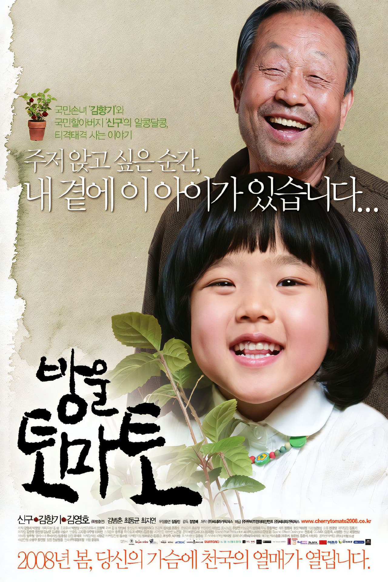 Cherry Tomato preview 2