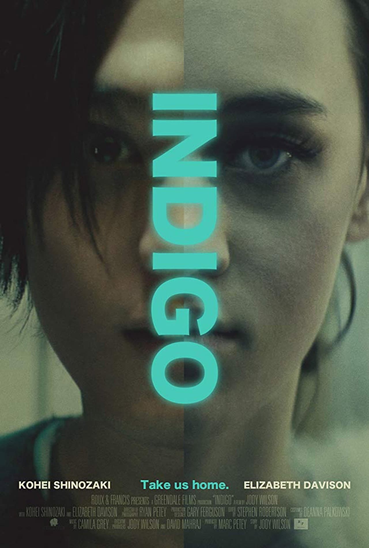 Indigo preview 2